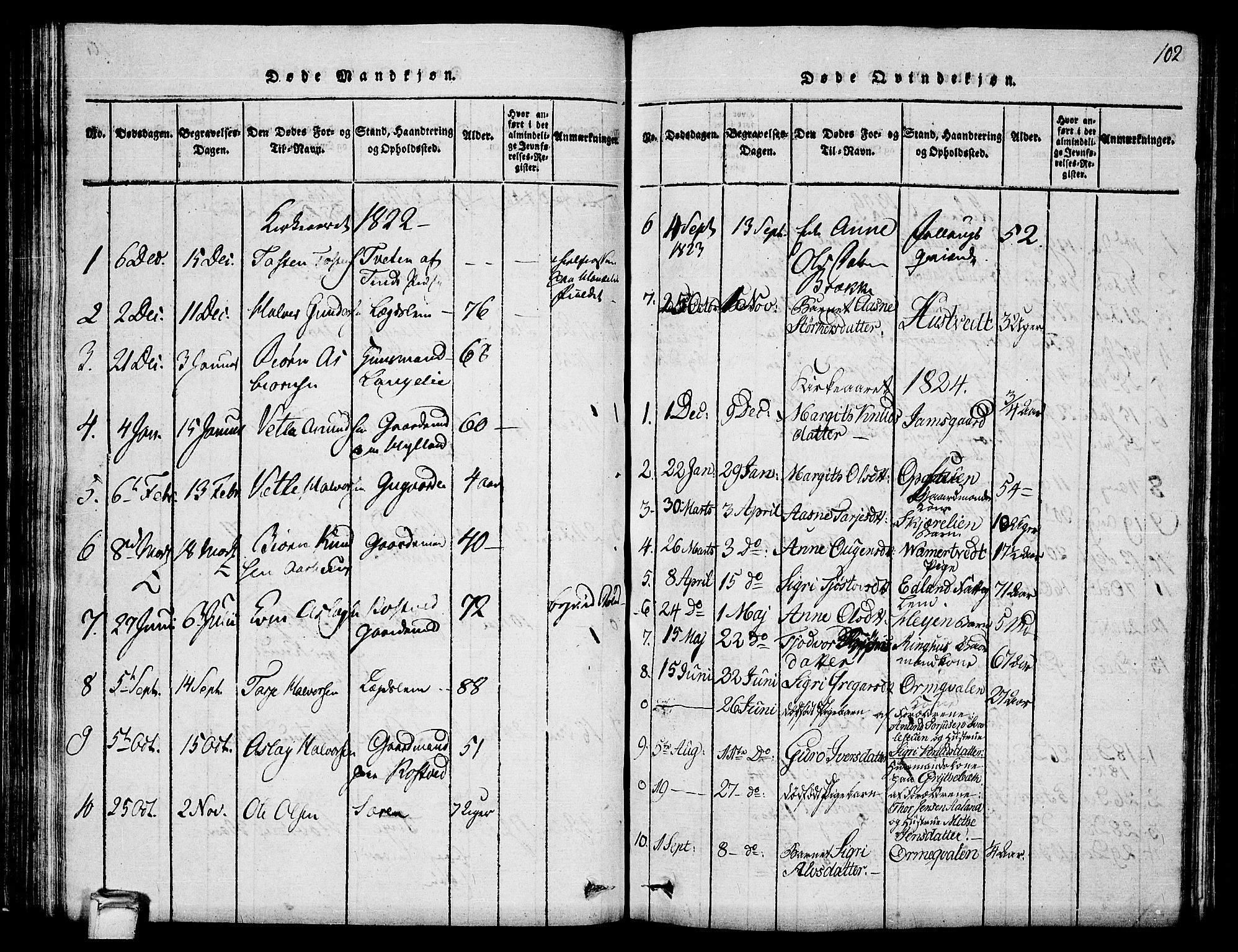 Vinje kirkebøker, SAKO/A-312/G/Ga/L0001: Parish register (copy) no. I 1, 1814-1843, p. 102