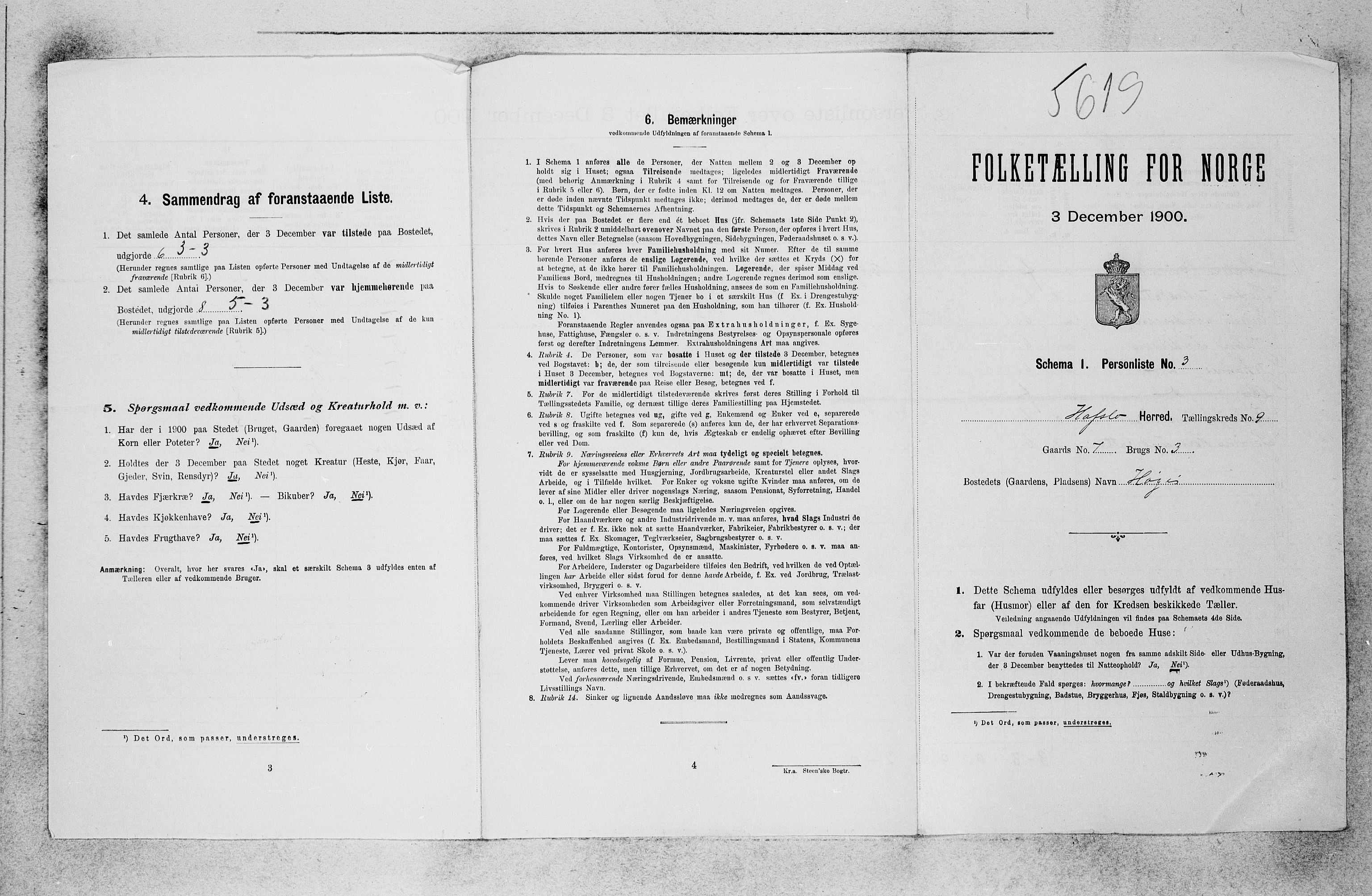 SAB, 1900 census for Hafslo, 1900, p. 944