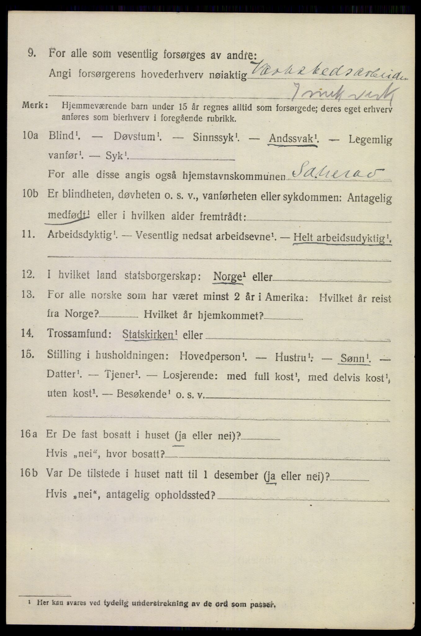 SAKO, 1920 census for Sandeherred, 1920, p. 11037