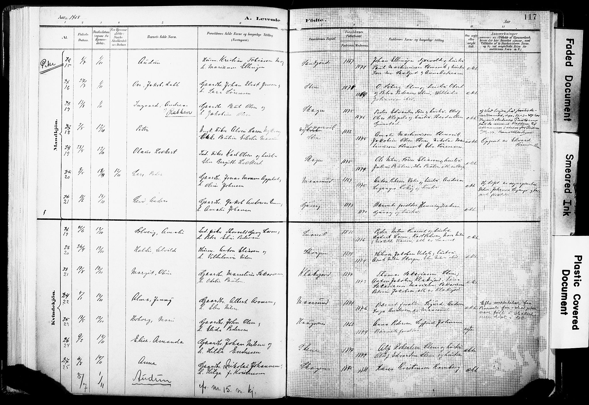 Ministerialprotokoller, klokkerbøker og fødselsregistre - Nordland, AV/SAT-A-1459/891/L1304: Parish register (official) no. 891A09, 1895-1921, p. 117