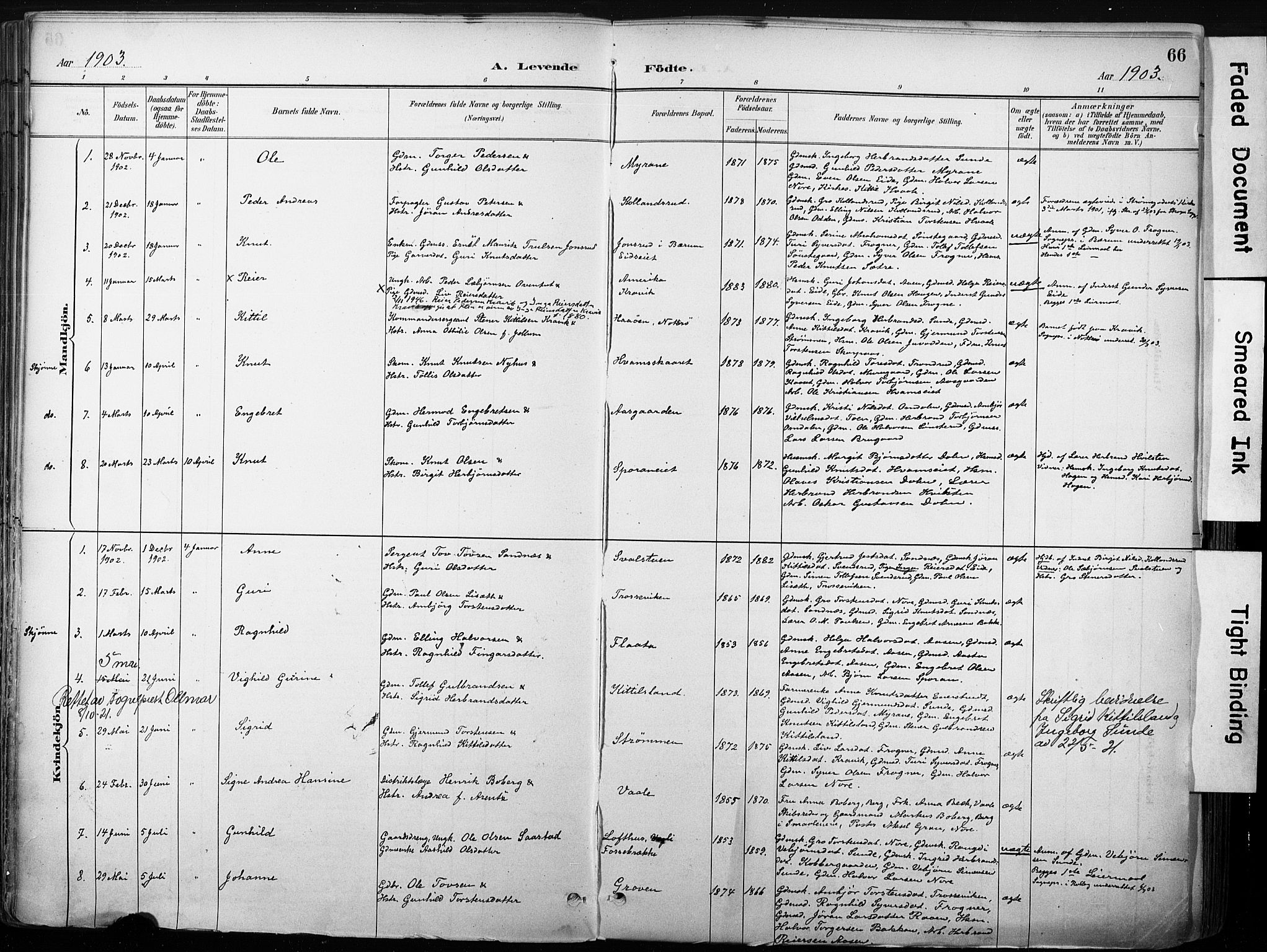 Nore kirkebøker, SAKO/A-238/F/Fb/L0002: Parish register (official) no. II 2, 1886-1906, p. 66