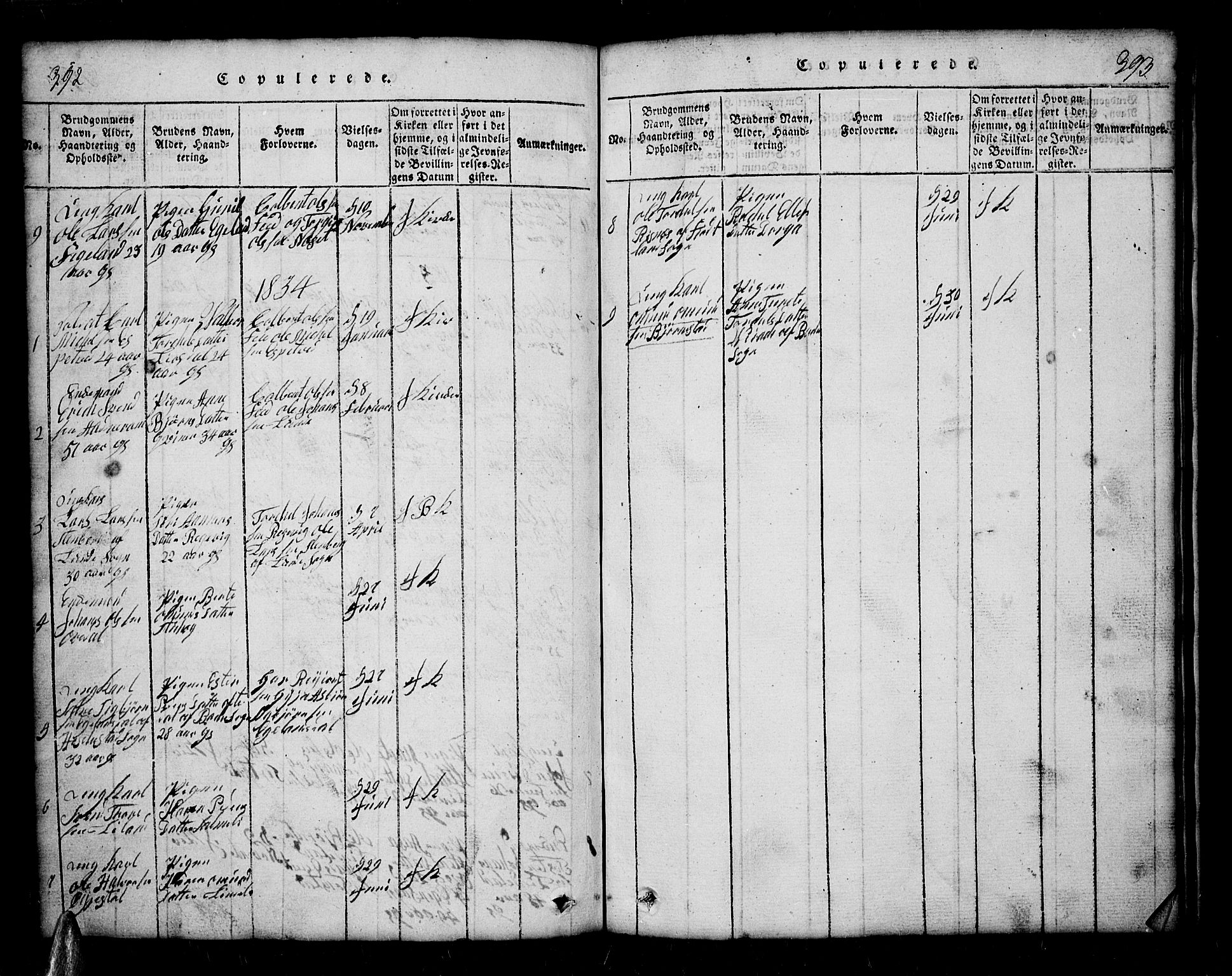 Sirdal sokneprestkontor, SAK/1111-0036/F/Fb/Fbb/L0001: Parish register (copy) no. B 1, 1815-1834, p. 392-393