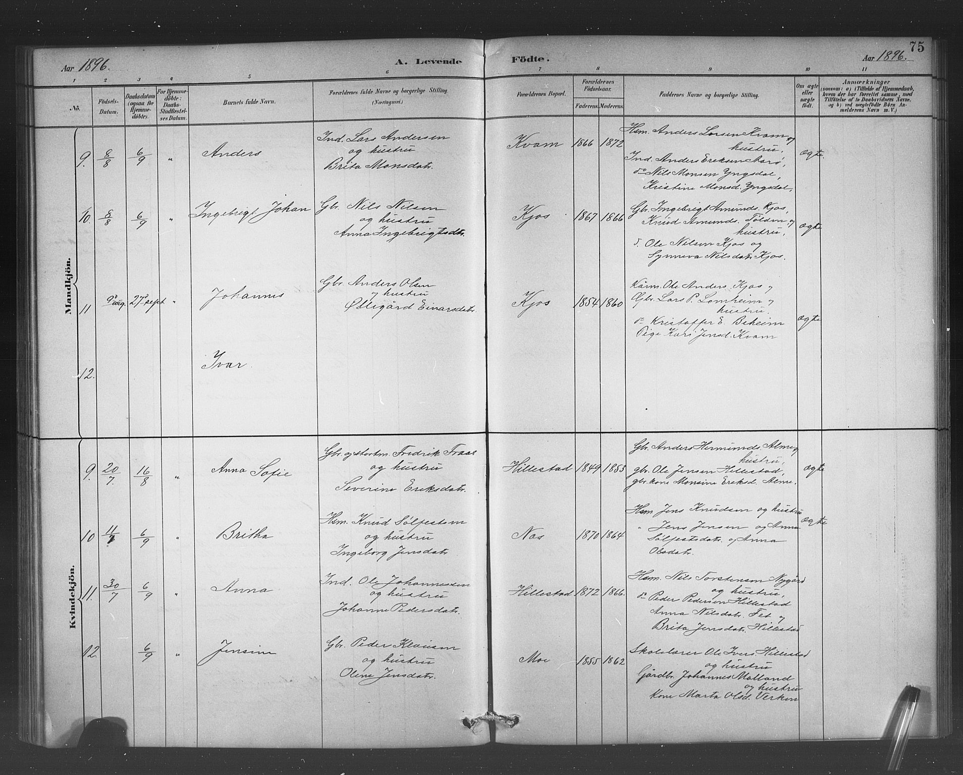 Hafslo sokneprestembete, AV/SAB-A-80301/H/Hab/Habb/L0001: Parish register (copy) no. B 1, 1882-1908, p. 75