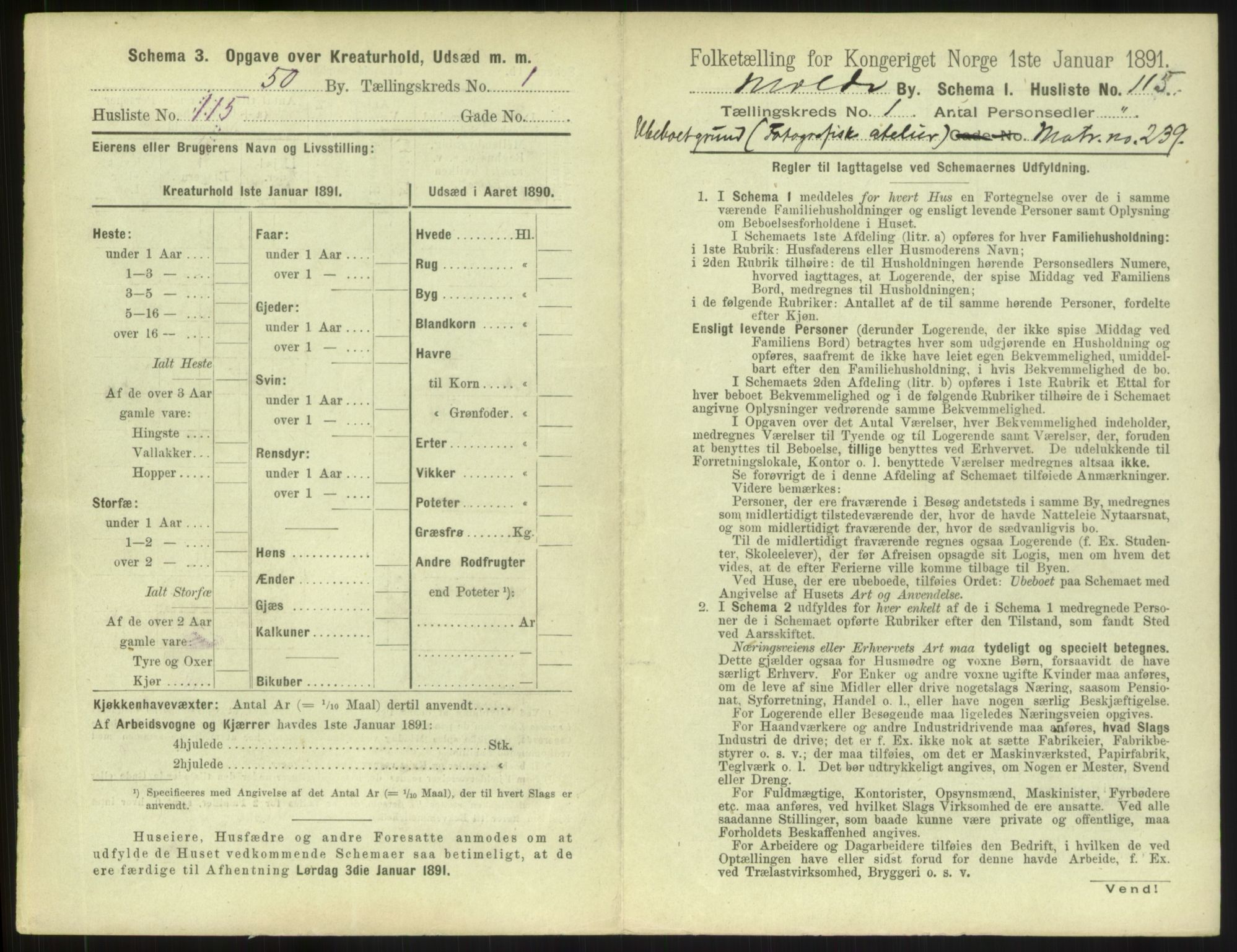 RA, 1891 census for 1502 Molde, 1891, p. 242