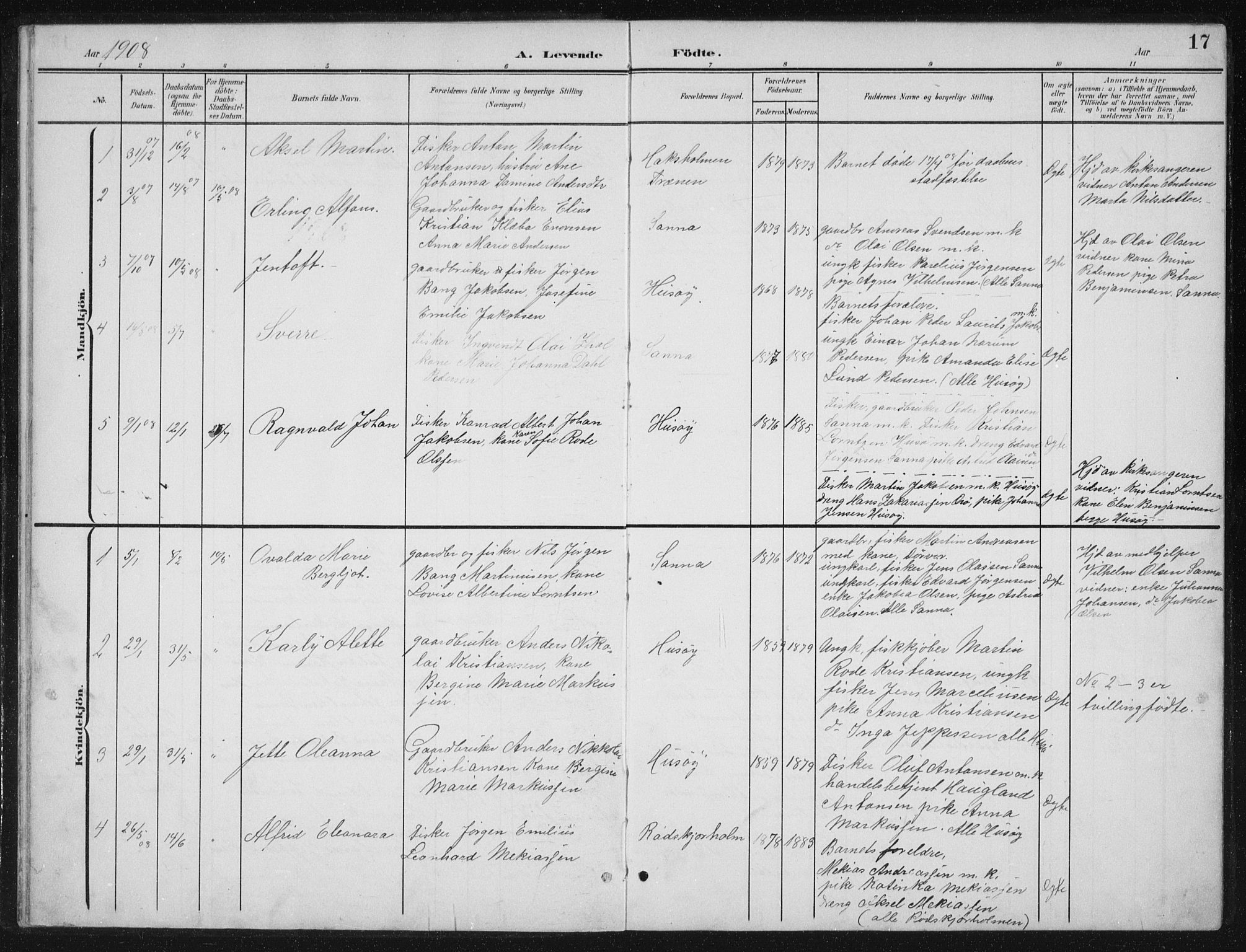 Ministerialprotokoller, klokkerbøker og fødselsregistre - Nordland, SAT/A-1459/840/L0583: Parish register (copy) no. 840C03, 1901-1933, p. 17