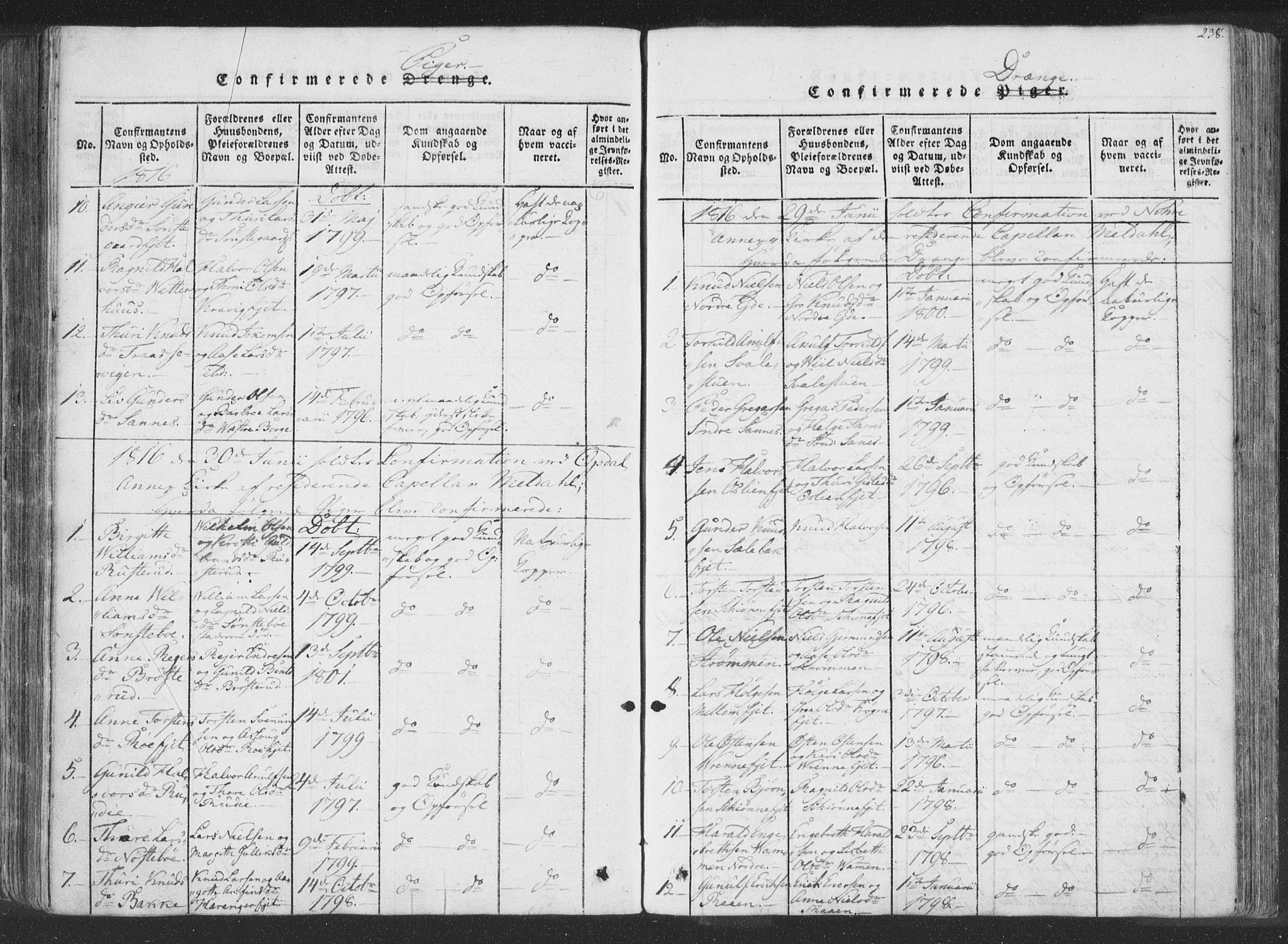 Rollag kirkebøker, SAKO/A-240/F/Fa/L0006: Parish register (official) no. I 6, 1814-1828, p. 238