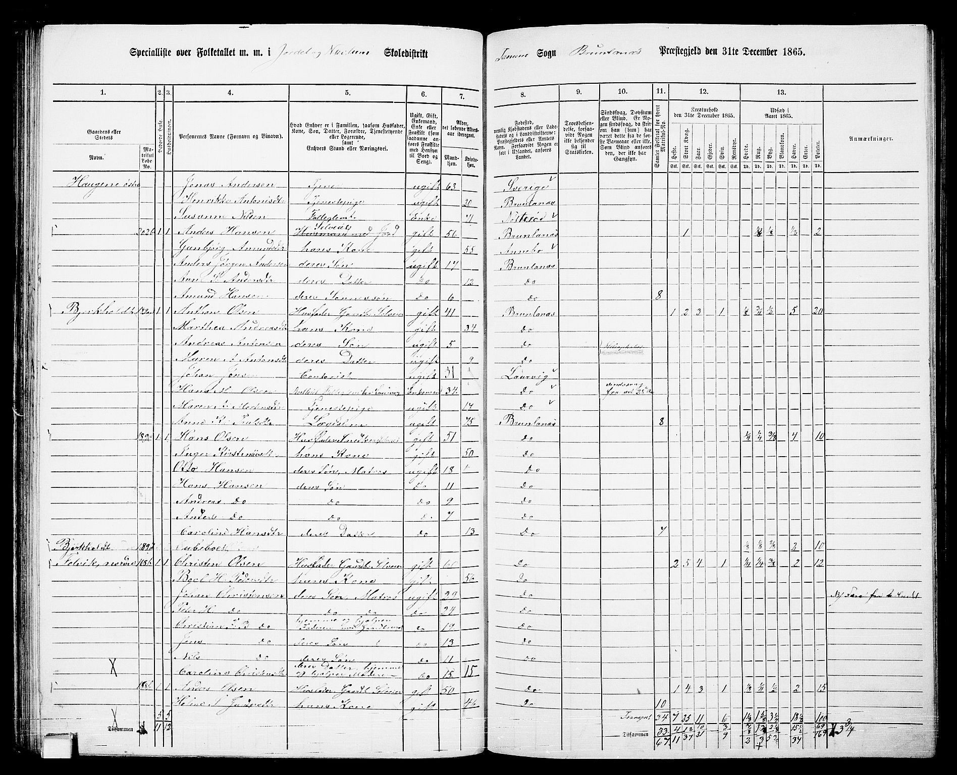 RA, 1865 census for Brunlanes, 1865, p. 71