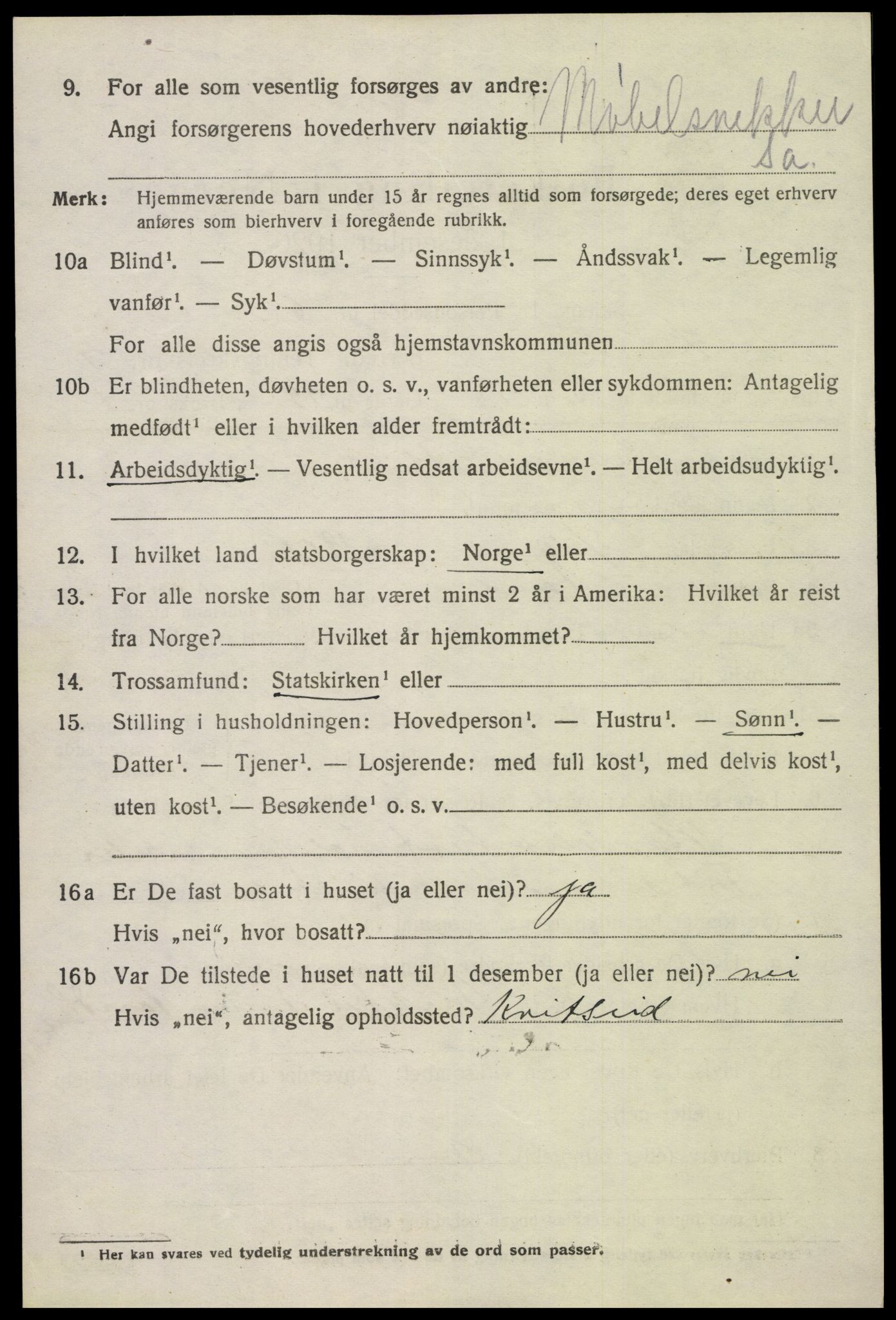 SAK, 1920 census for Åmli, 1920, p. 3162