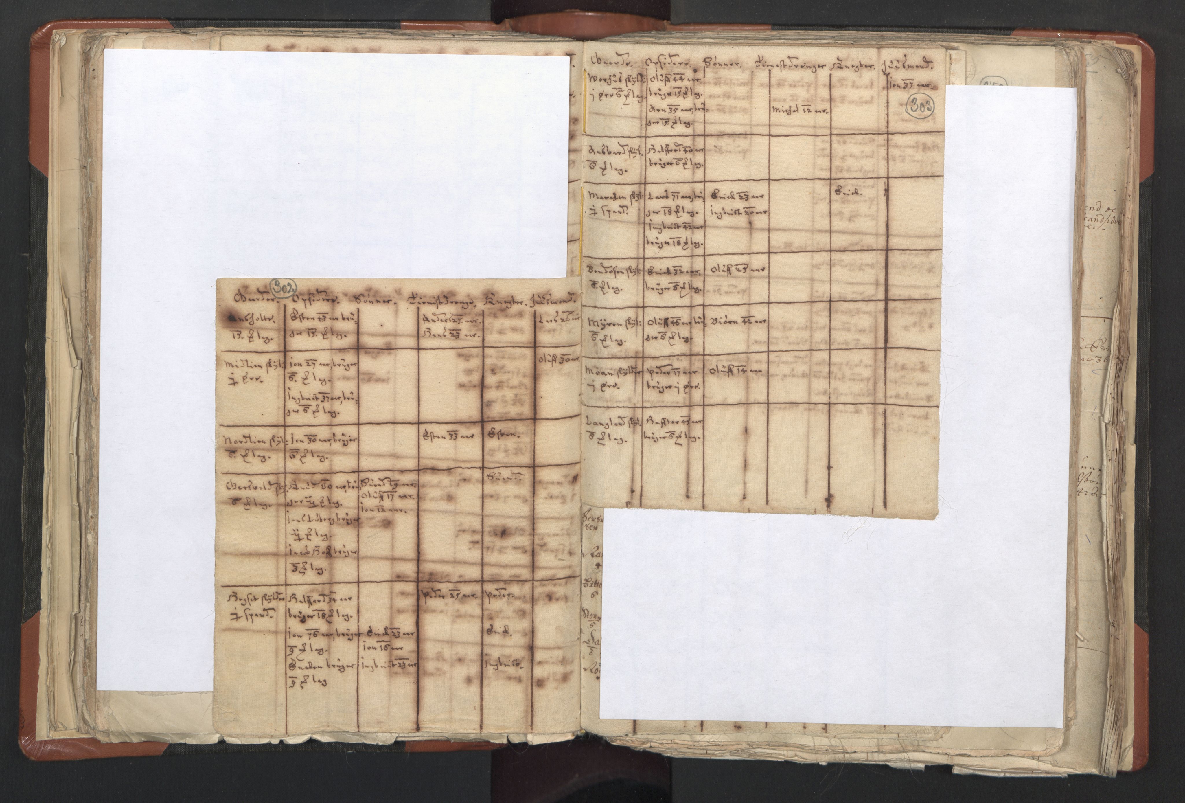 RA, Vicar's Census 1664-1666, no. 31: Dalane deanery, 1664-1666, p. 302-303