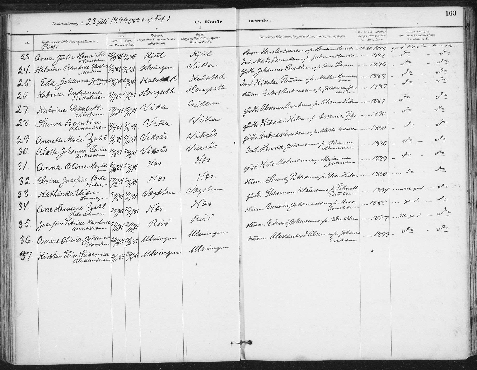 Ministerialprotokoller, klokkerbøker og fødselsregistre - Nordland, AV/SAT-A-1459/816/L0244: Parish register (official) no. 816A10, 1886-1903, p. 163