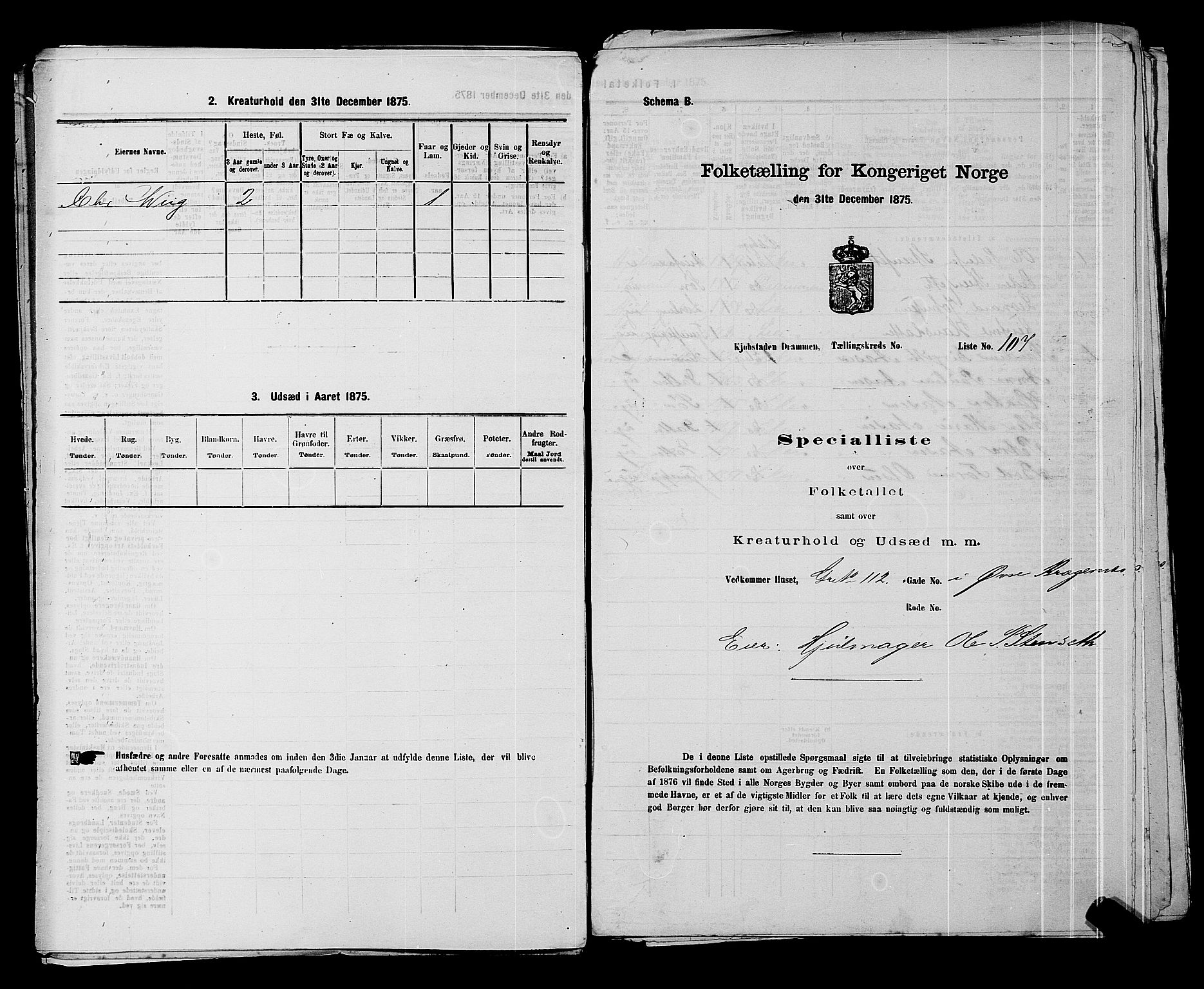 SAKO, 1875 census for 0602 Drammen, 1875, p. 426