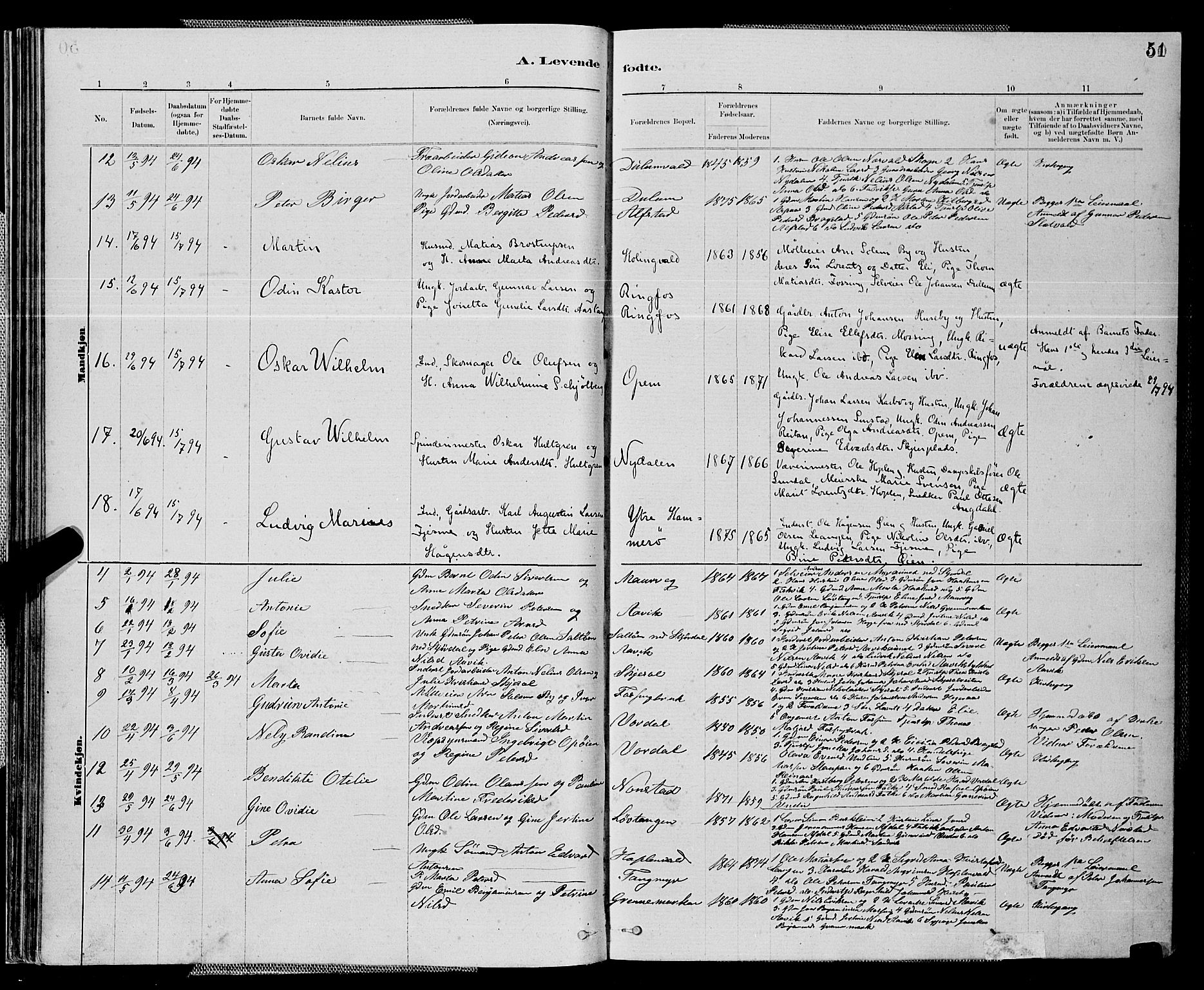 Ministerialprotokoller, klokkerbøker og fødselsregistre - Nord-Trøndelag, AV/SAT-A-1458/714/L0134: Parish register (copy) no. 714C03, 1878-1898, p. 51