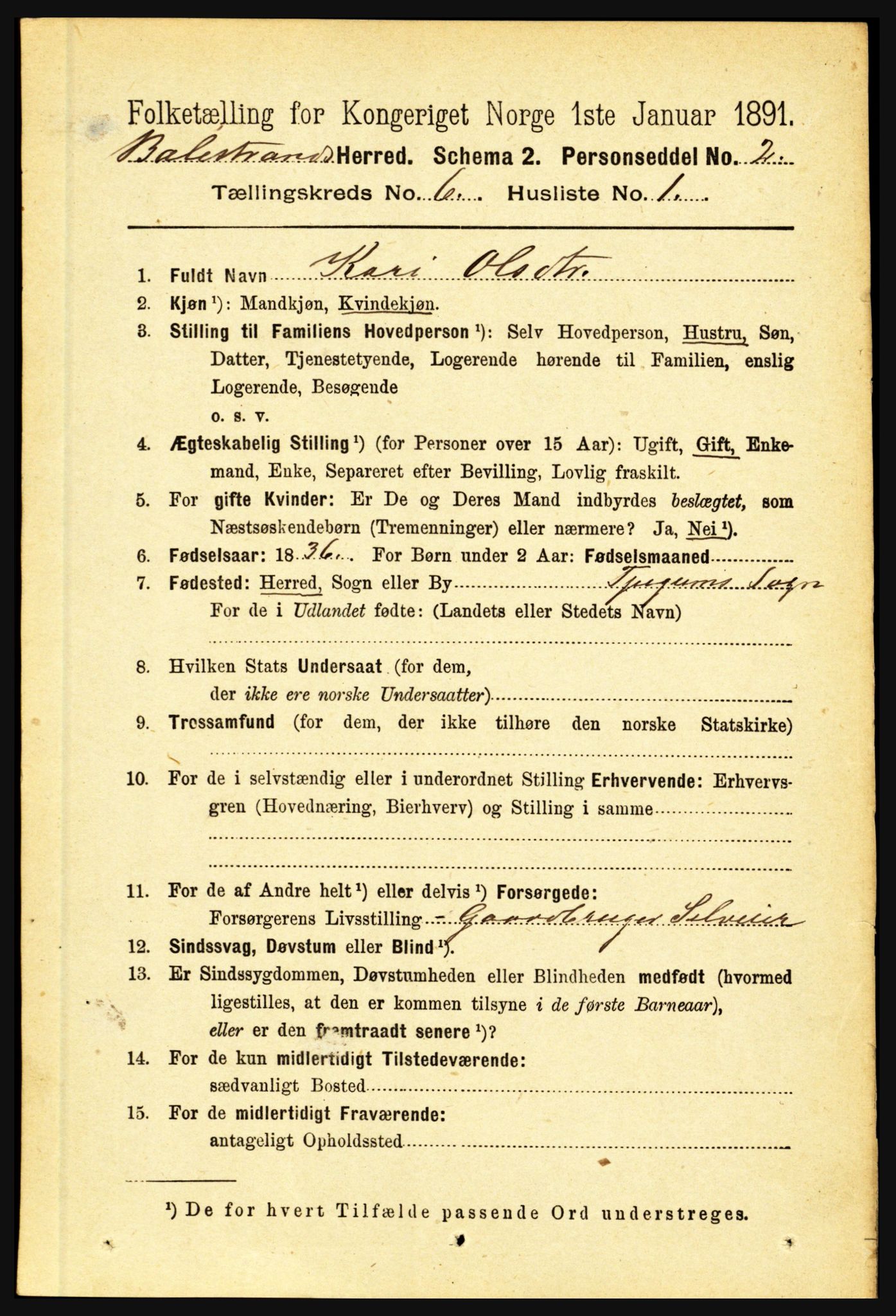 RA, 1891 census for 1418 Balestrand, 1891, p. 1360