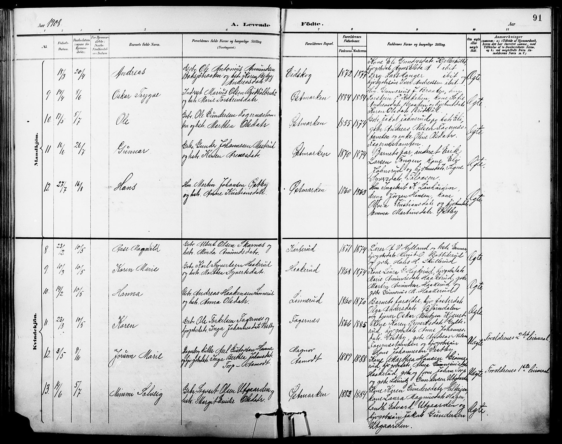 Vinger prestekontor, AV/SAH-PREST-024/H/Ha/Hab/L0004: Parish register (copy) no. 4, 1895-1920, p. 91