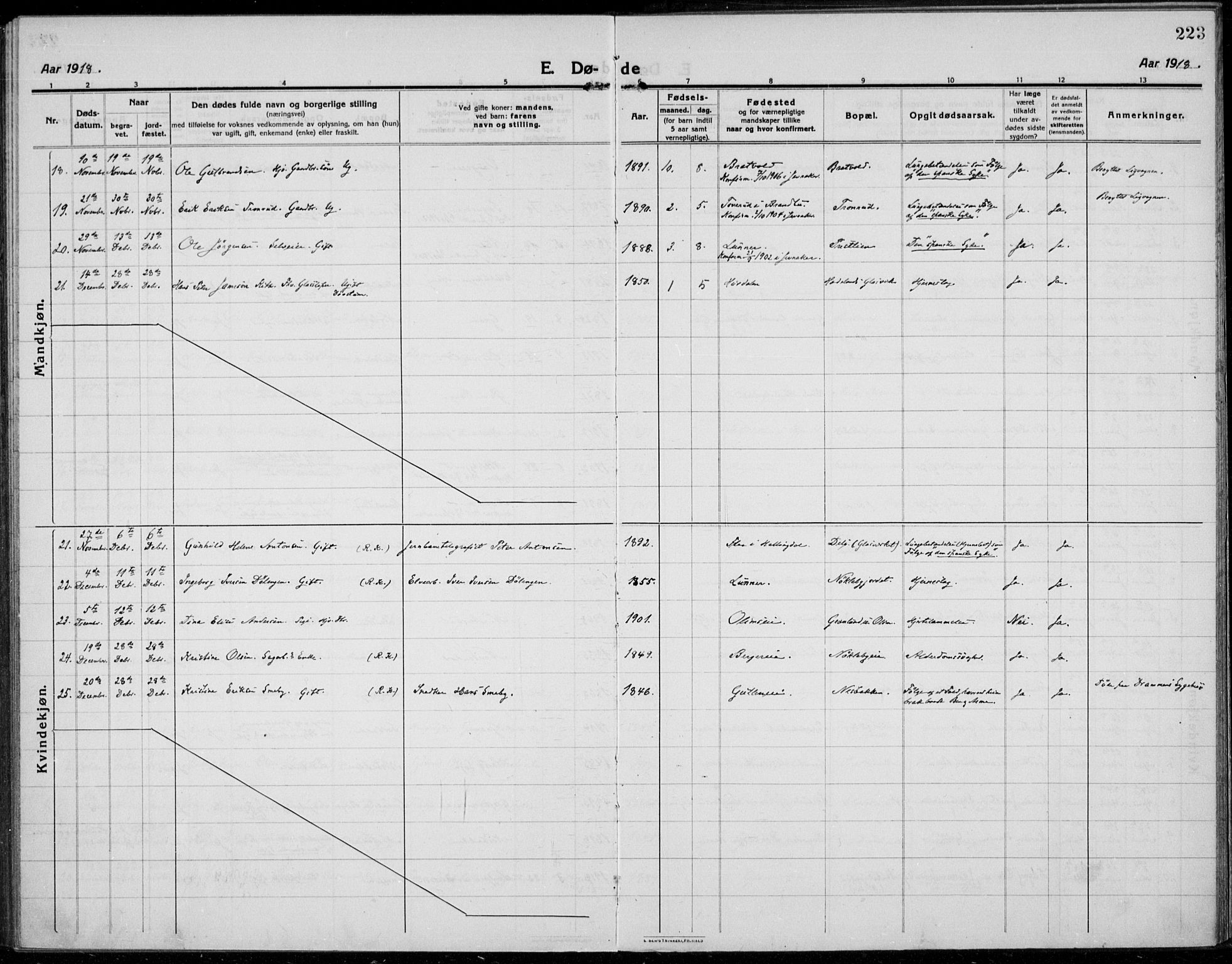 Jevnaker prestekontor, SAH/PREST-116/H/Ha/Haa/L0012: Parish register (official) no. 12, 1914-1924, p. 223