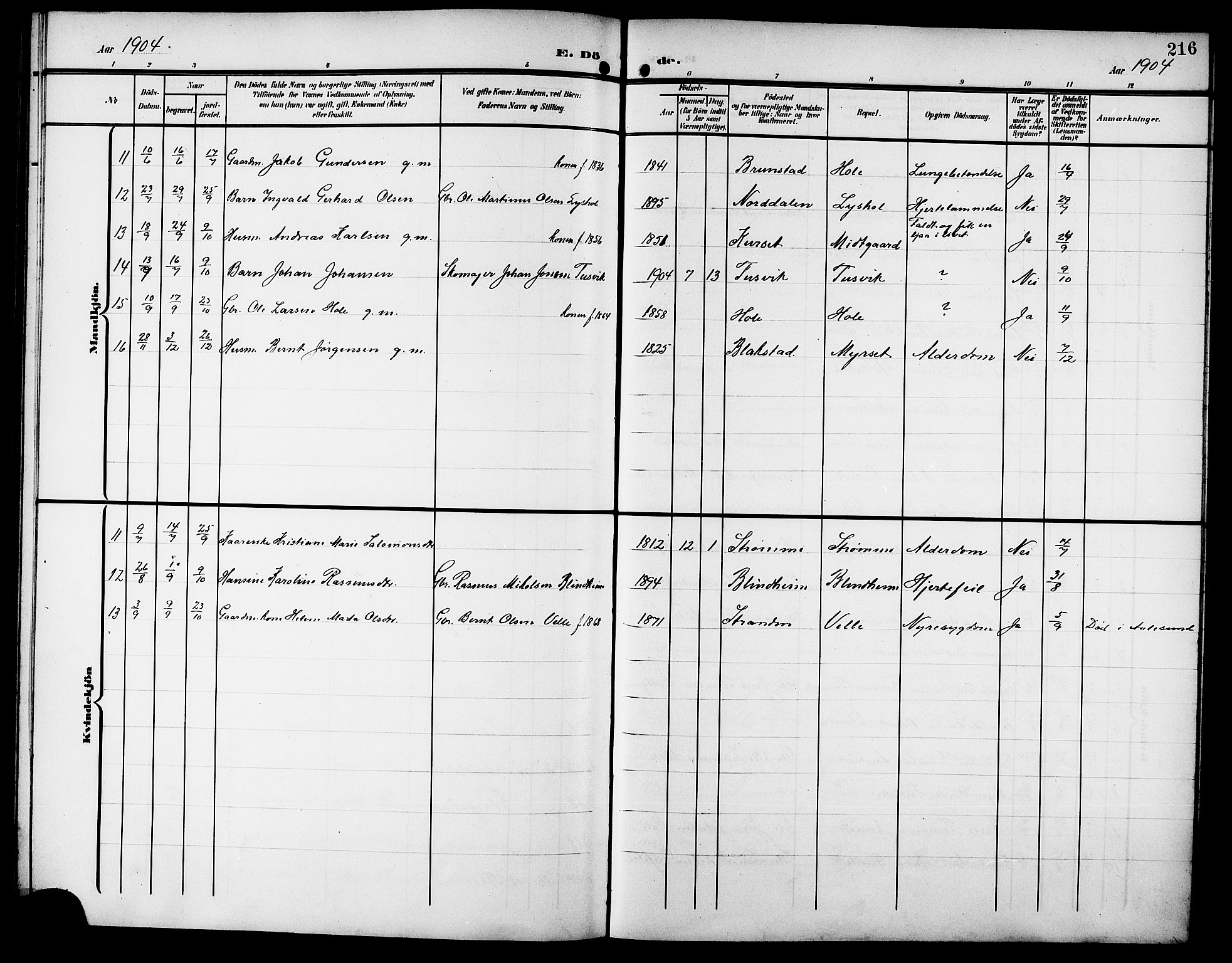 Ministerialprotokoller, klokkerbøker og fødselsregistre - Møre og Romsdal, SAT/A-1454/523/L0341: Parish register (copy) no. 523C04, 1903-1916, p. 216