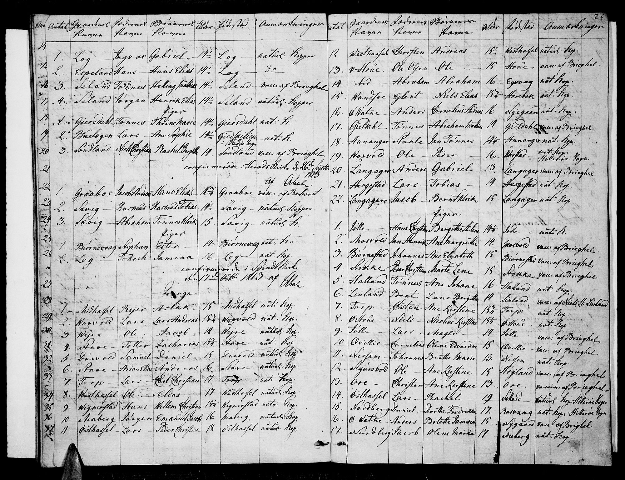 Lista sokneprestkontor, SAK/1111-0027/F/Fa/L0006: Parish register (official) no. A 6, 1800-1815, p. 25