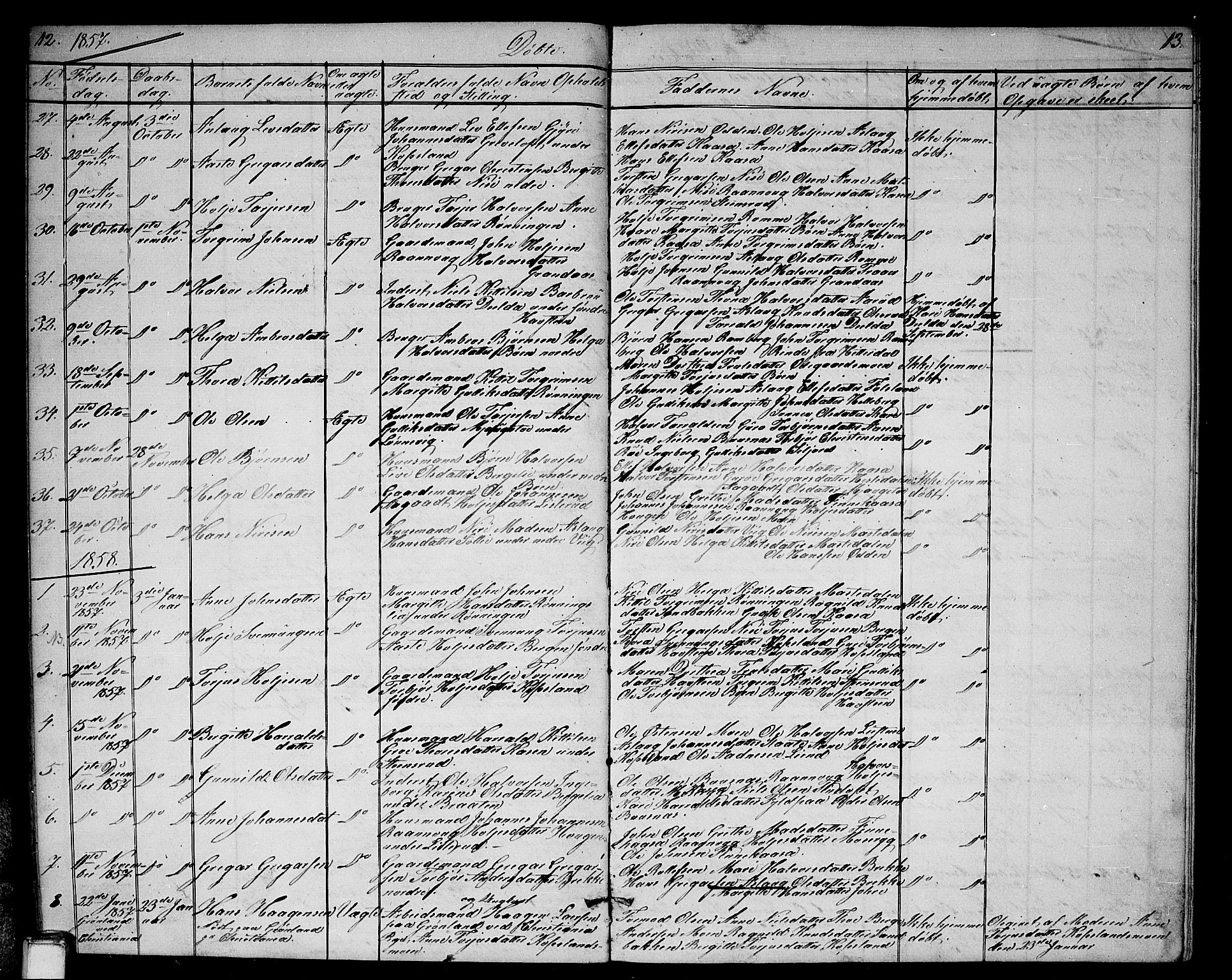 Gransherad kirkebøker, SAKO/A-267/G/Ga/L0002: Parish register (copy) no. I 2, 1854-1886, p. 12-13