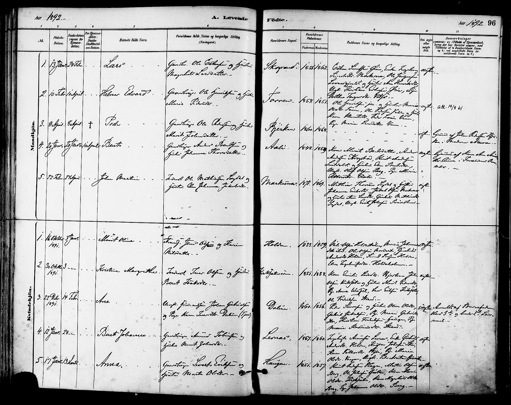 Ministerialprotokoller, klokkerbøker og fødselsregistre - Sør-Trøndelag, SAT/A-1456/630/L0496: Parish register (official) no. 630A09, 1879-1895, p. 96