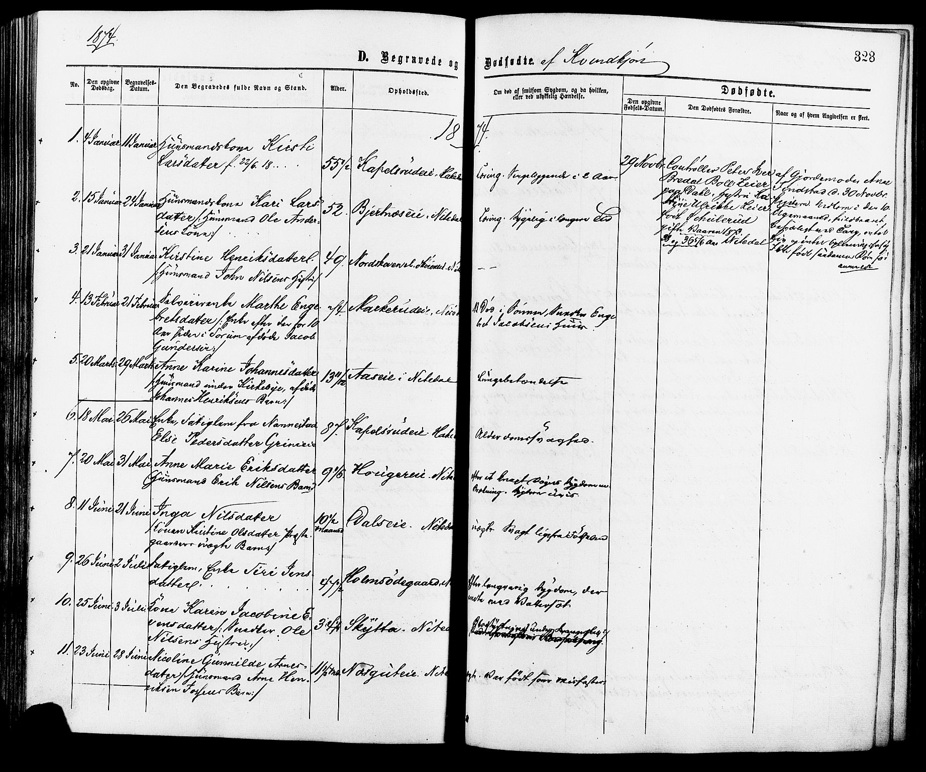 Nittedal prestekontor Kirkebøker, AV/SAO-A-10365a/F/Fa/L0006: Parish register (official) no. I 6, 1863-1878, p. 323