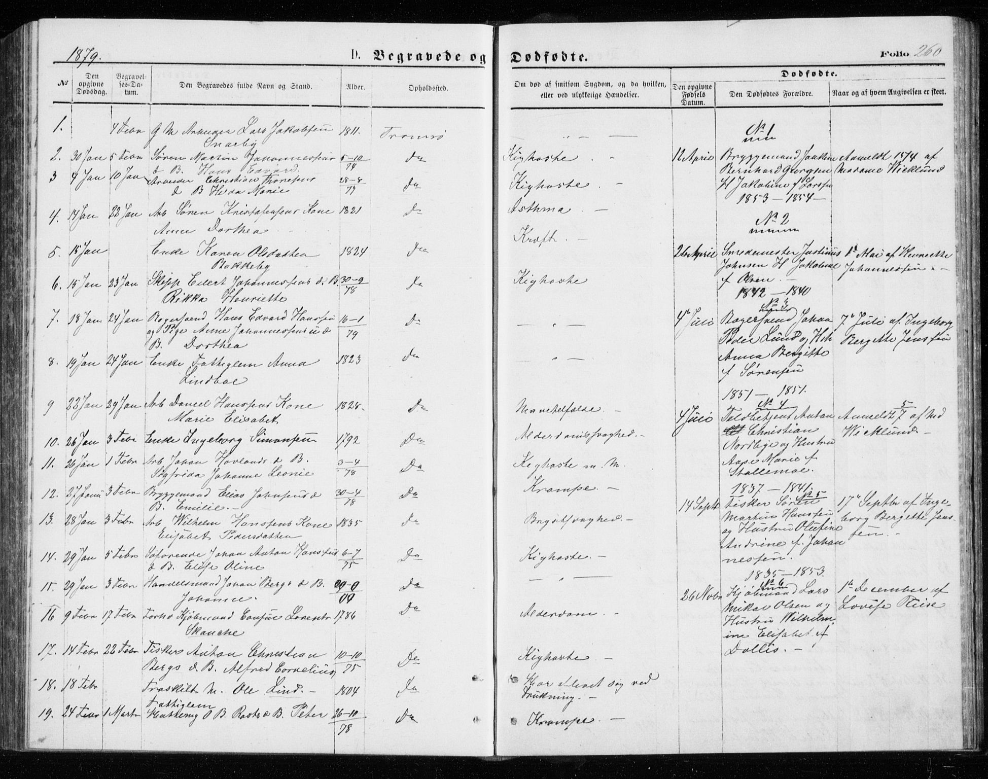 Tromsø sokneprestkontor/stiftsprosti/domprosti, SATØ/S-1343/G/Gb/L0008klokker: Parish register (copy) no. 8, 1875-1879, p. 260