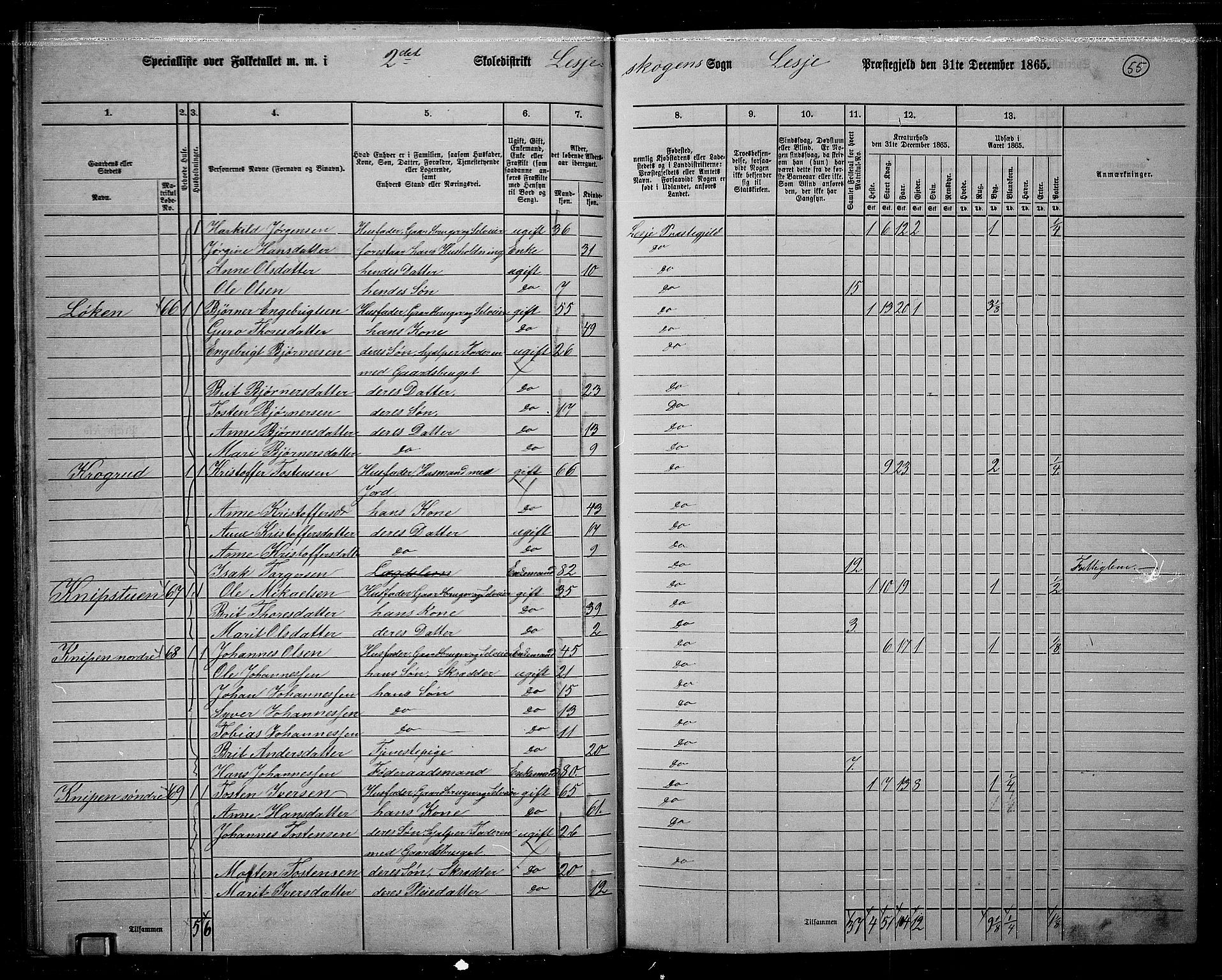 RA, 1865 census for Lesja, 1865, p. 50