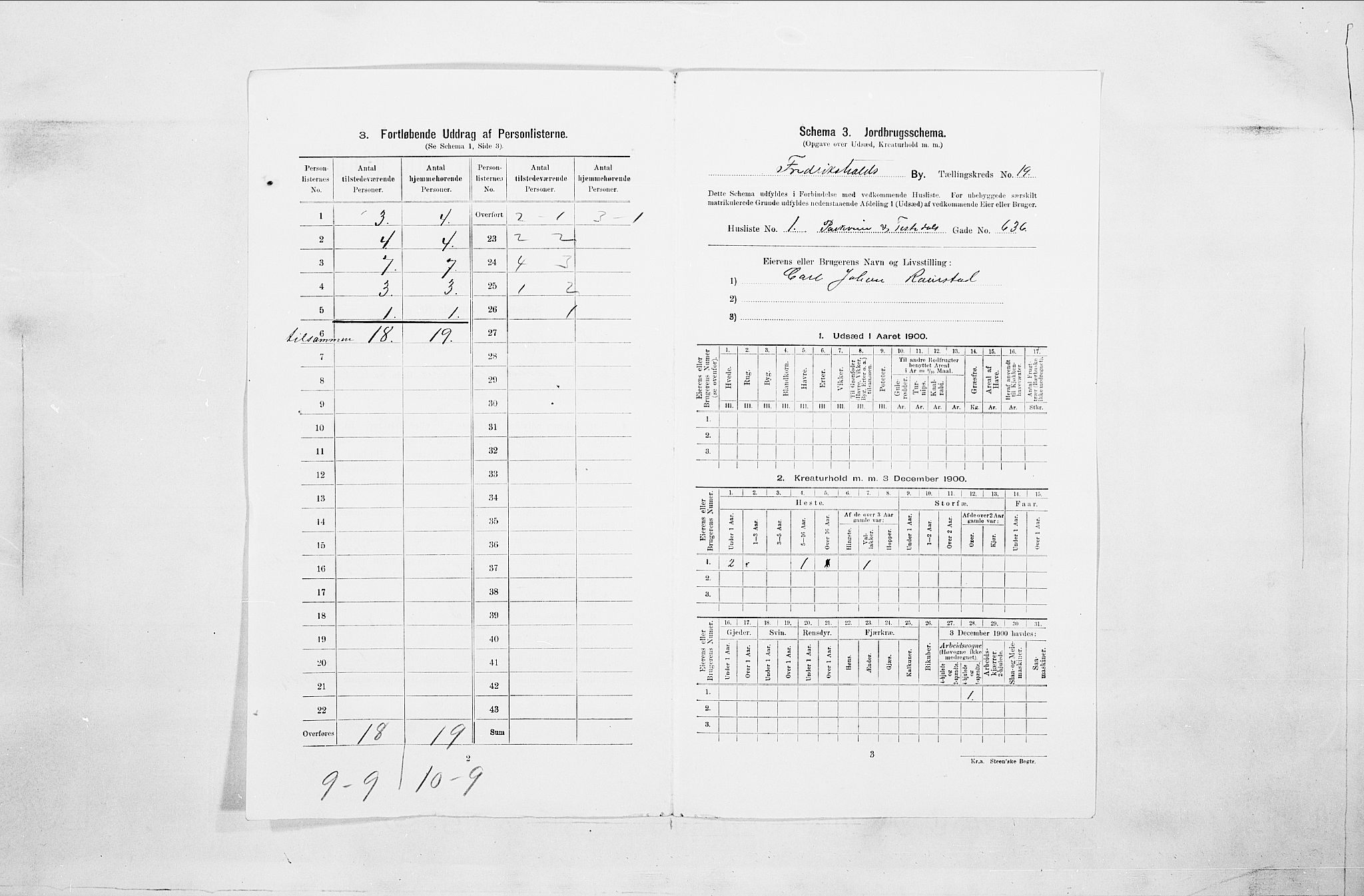 SAO, 1900 census for Fredrikshald, 1900