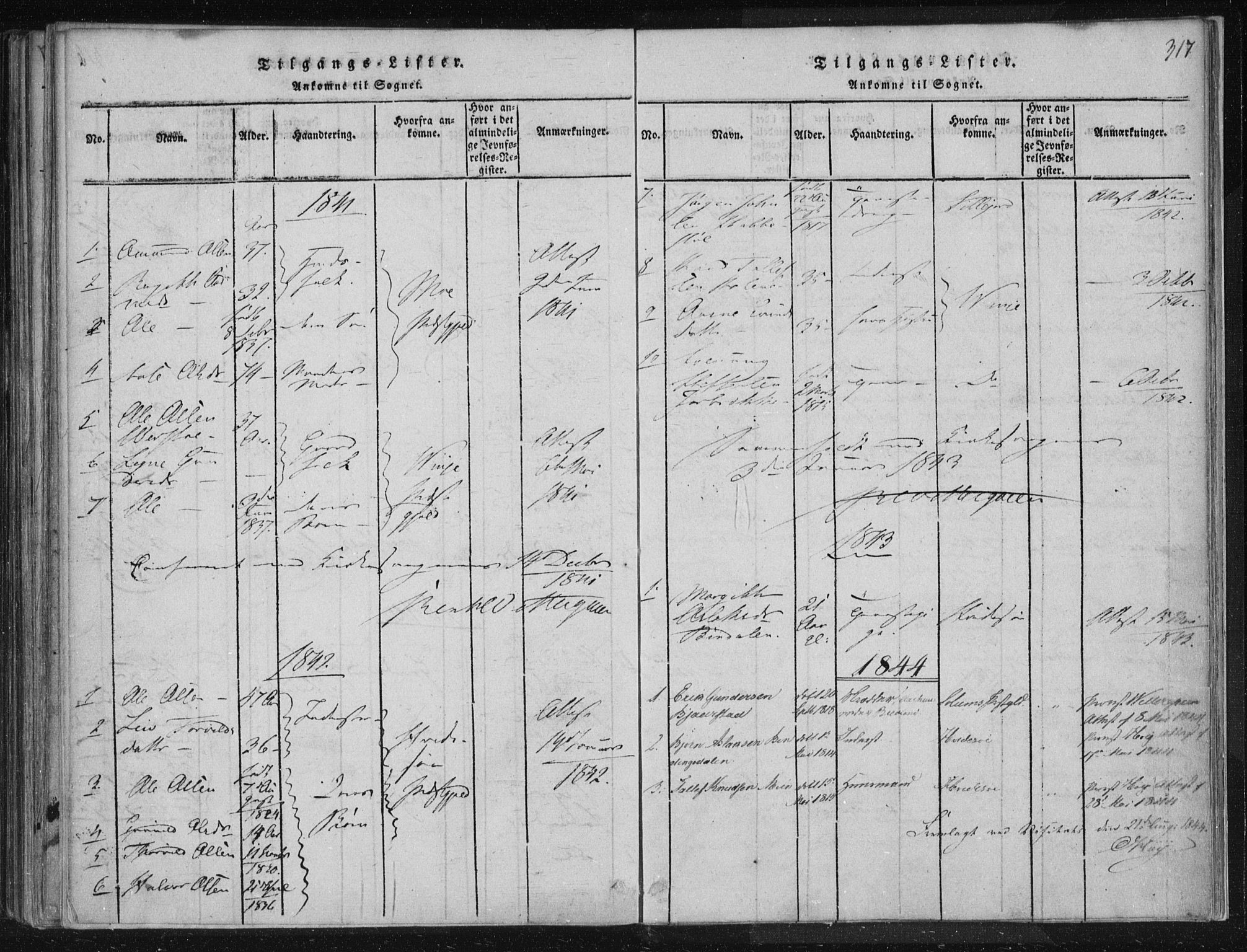 Lårdal kirkebøker, SAKO/A-284/F/Fc/L0001: Parish register (official) no. III 1, 1815-1860, p. 317