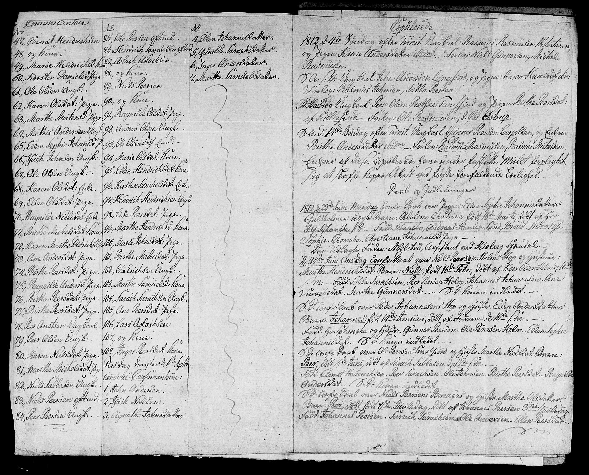 Nesseby sokneprestkontor, AV/SATØ-S-1330/H/Hc: Other parish register no. 13, 1812-1813