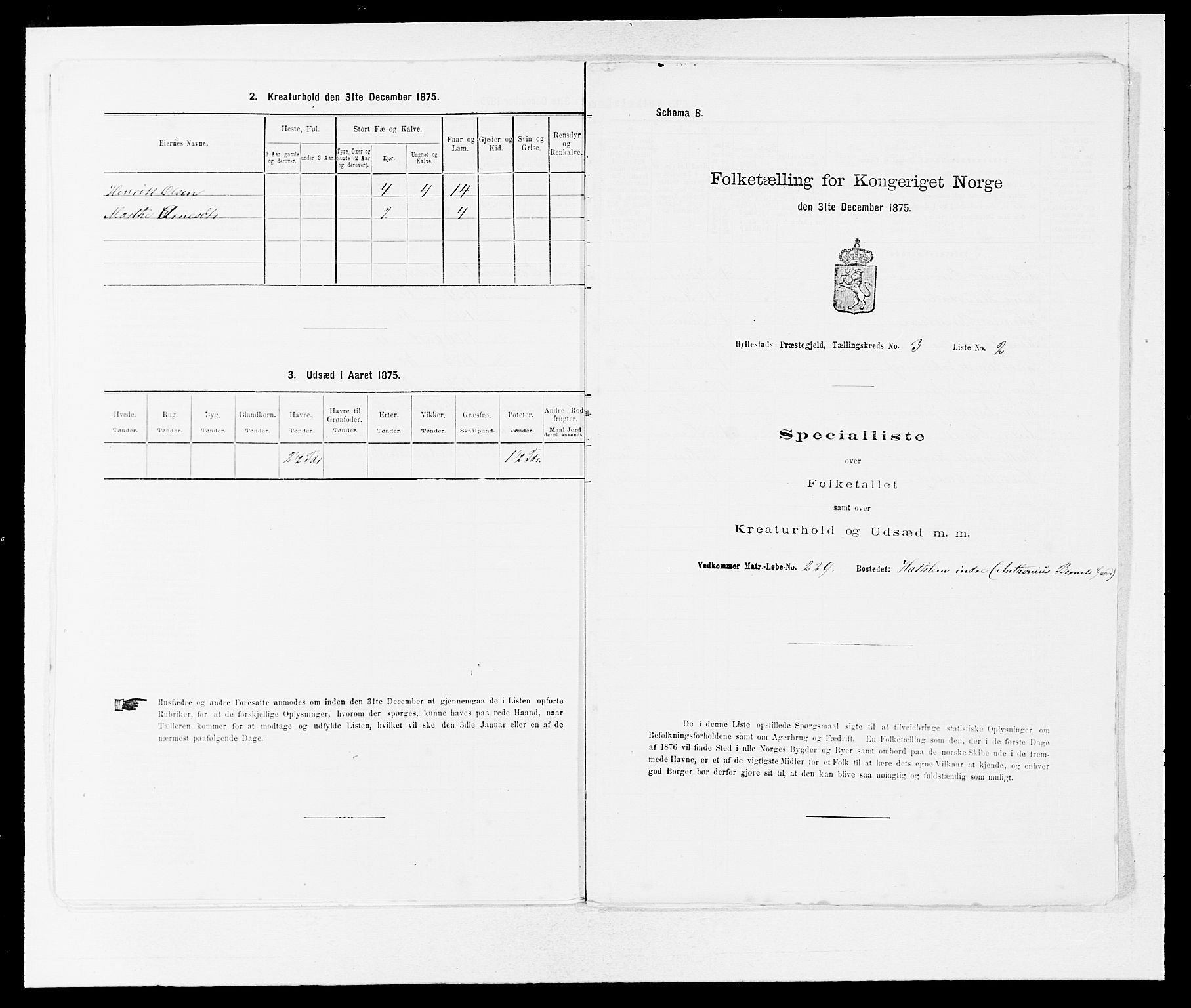 SAB, 1875 census for 1413P Hyllestad, 1875, p. 244