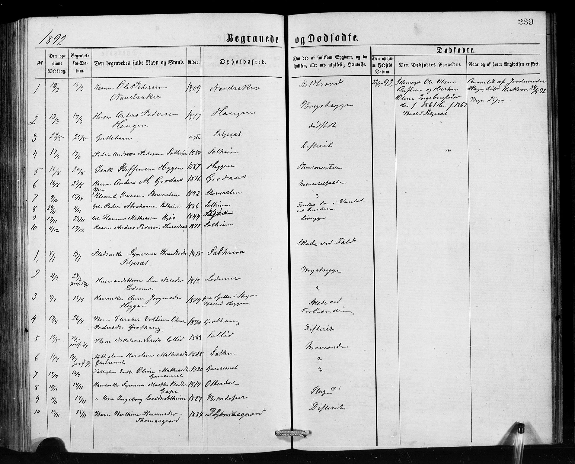 Hornindal sokneprestembete, SAB/A-82401/H/Hab: Parish register (copy) no. A 1, 1876-1894, p. 239