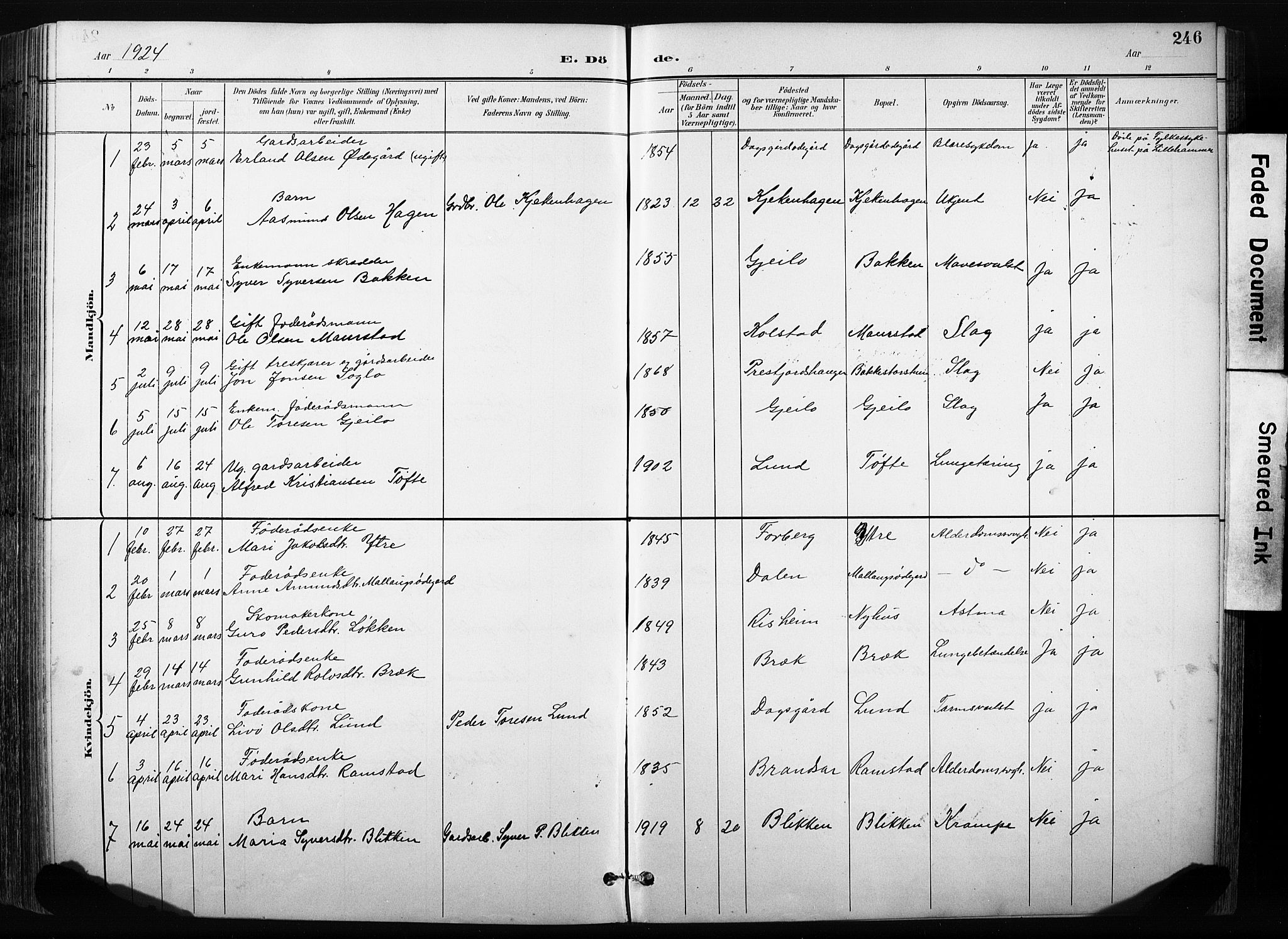 Skjåk prestekontor, SAH/PREST-072/H/Ha/Hab/L0003: Parish register (copy) no. 3, 1893-1932, p. 246