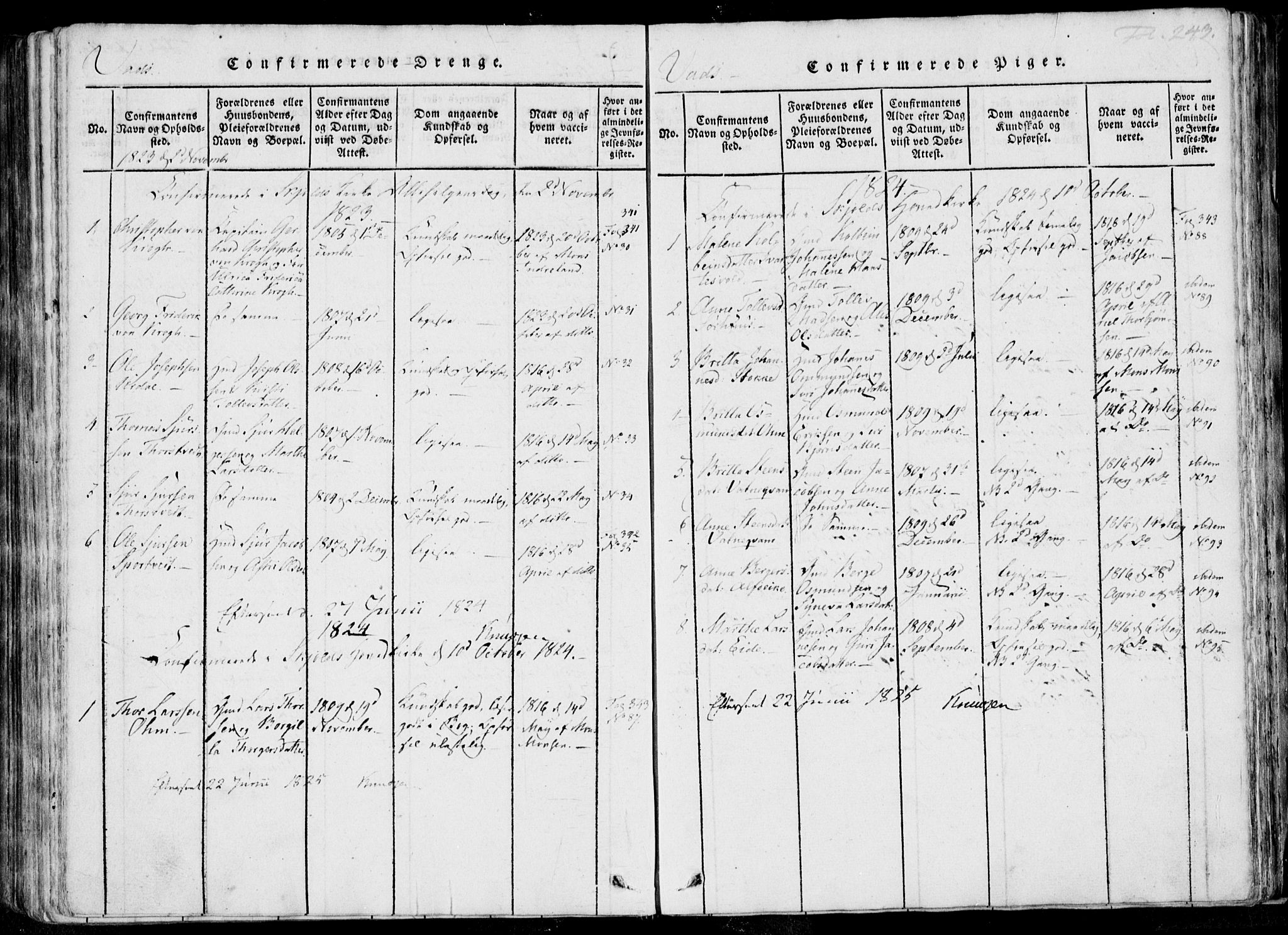 Skjold sokneprestkontor, AV/SAST-A-101847/H/Ha/Haa/L0004: Parish register (official) no. A 4 /2, 1815-1830, p. 243