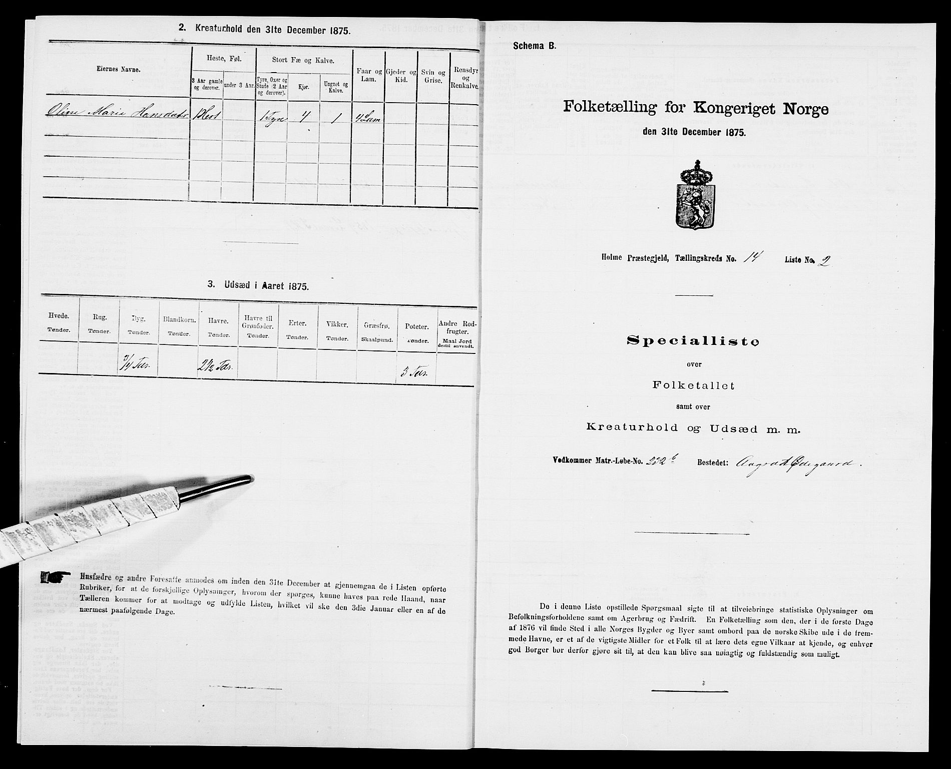 SAK, 1875 census for 1020P Holum, 1875, p. 1414