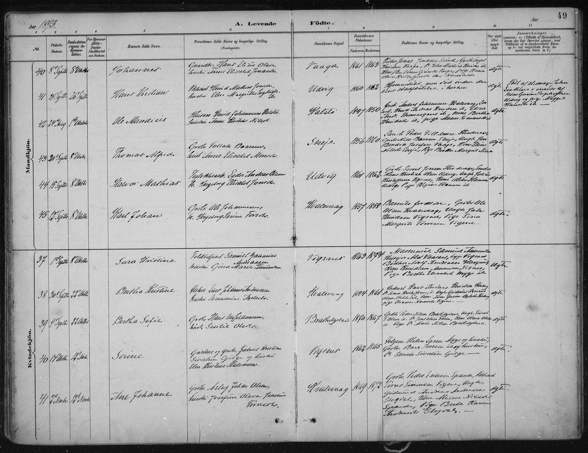 Avaldsnes sokneprestkontor, AV/SAST-A -101851/H/Ha/Haa/L0017: Parish register (official) no. A 17, 1889-1920, p. 49