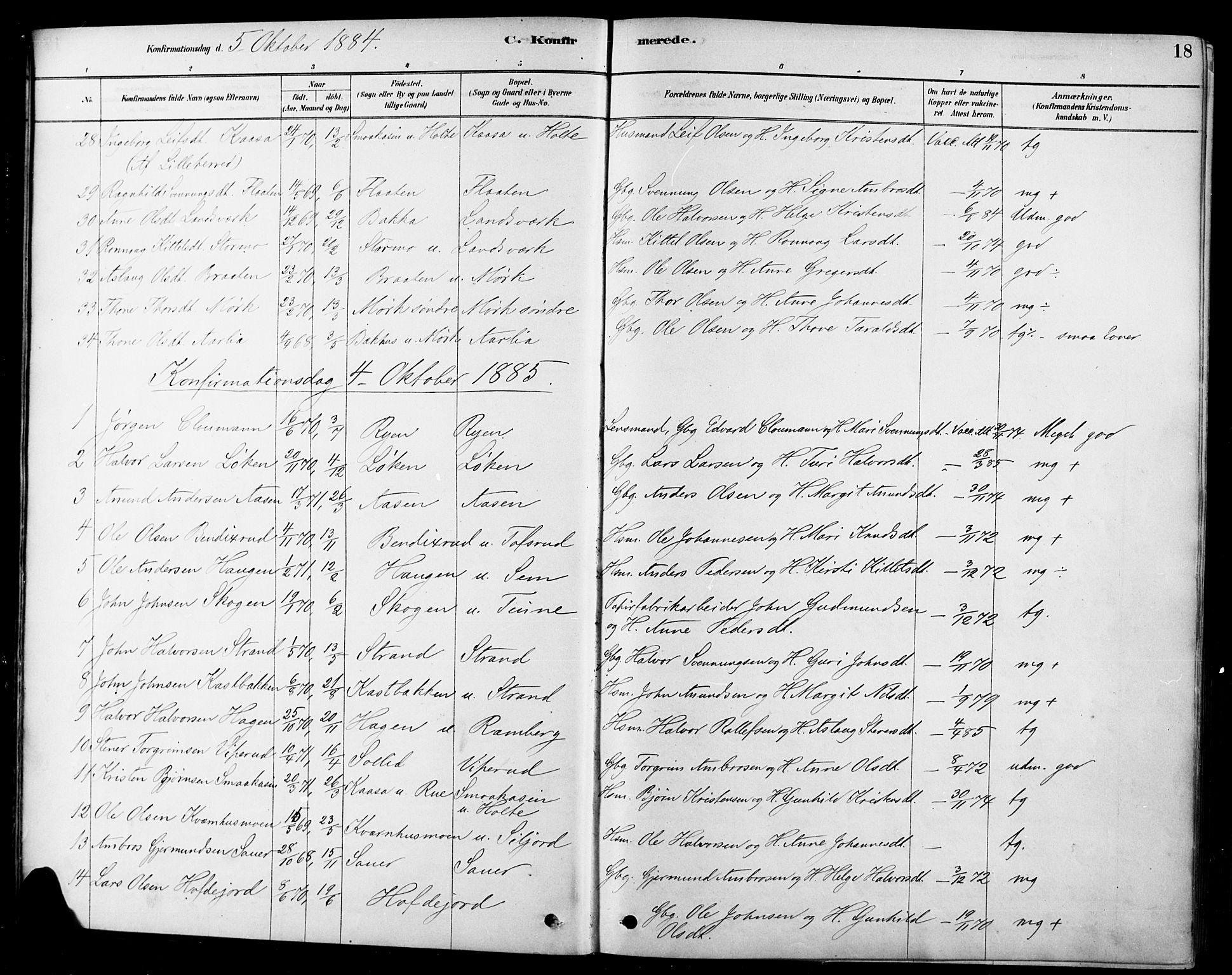 Heddal kirkebøker, SAKO/A-268/F/Fa/L0009: Parish register (official) no. I 9, 1878-1903, p. 18