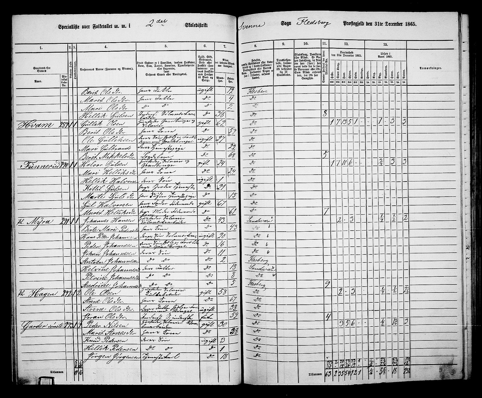 RA, 1865 census for Flesberg, 1865, p. 55