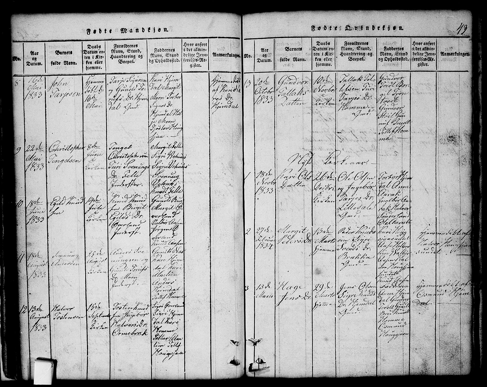 Nissedal kirkebøker, SAKO/A-288/G/Gb/L0001: Parish register (copy) no. II 1, 1814-1862, p. 43