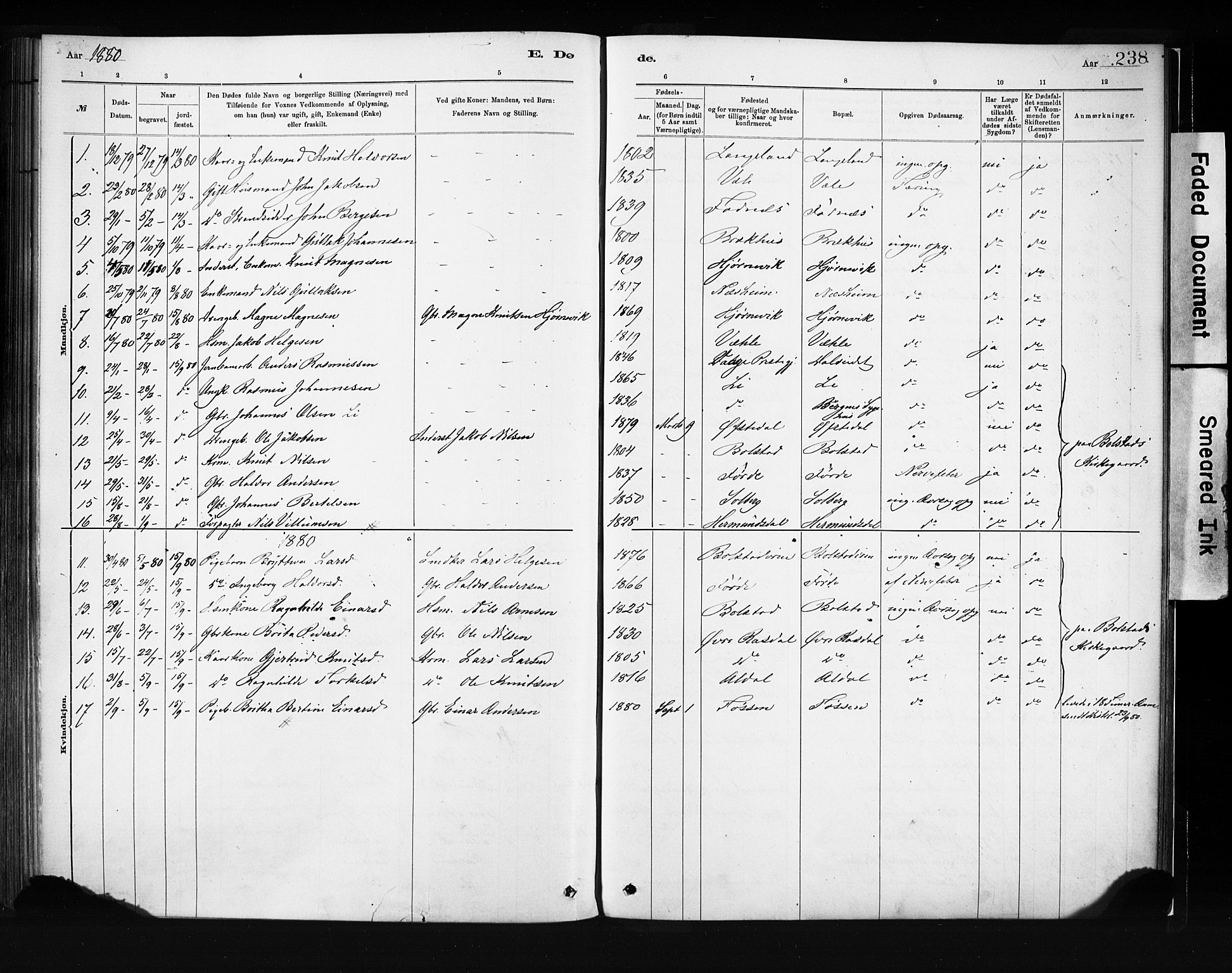 Evanger sokneprestembete, SAB/A-99924: Parish register (official) no. A 1, 1877-1899, p. 238