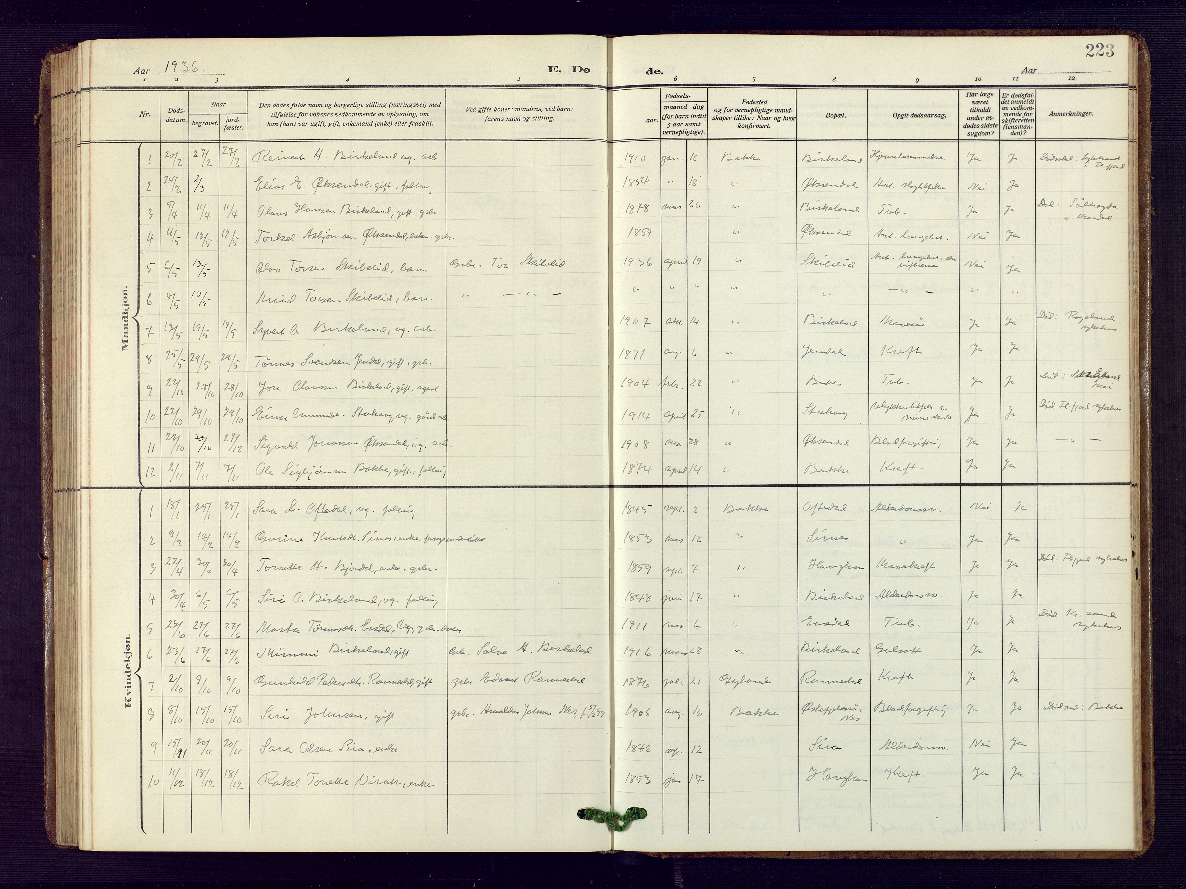 Bakke sokneprestkontor, SAK/1111-0002/F/Fb/Fba/L0004: Parish register (copy) no. B 4, 1911-1946, p. 223