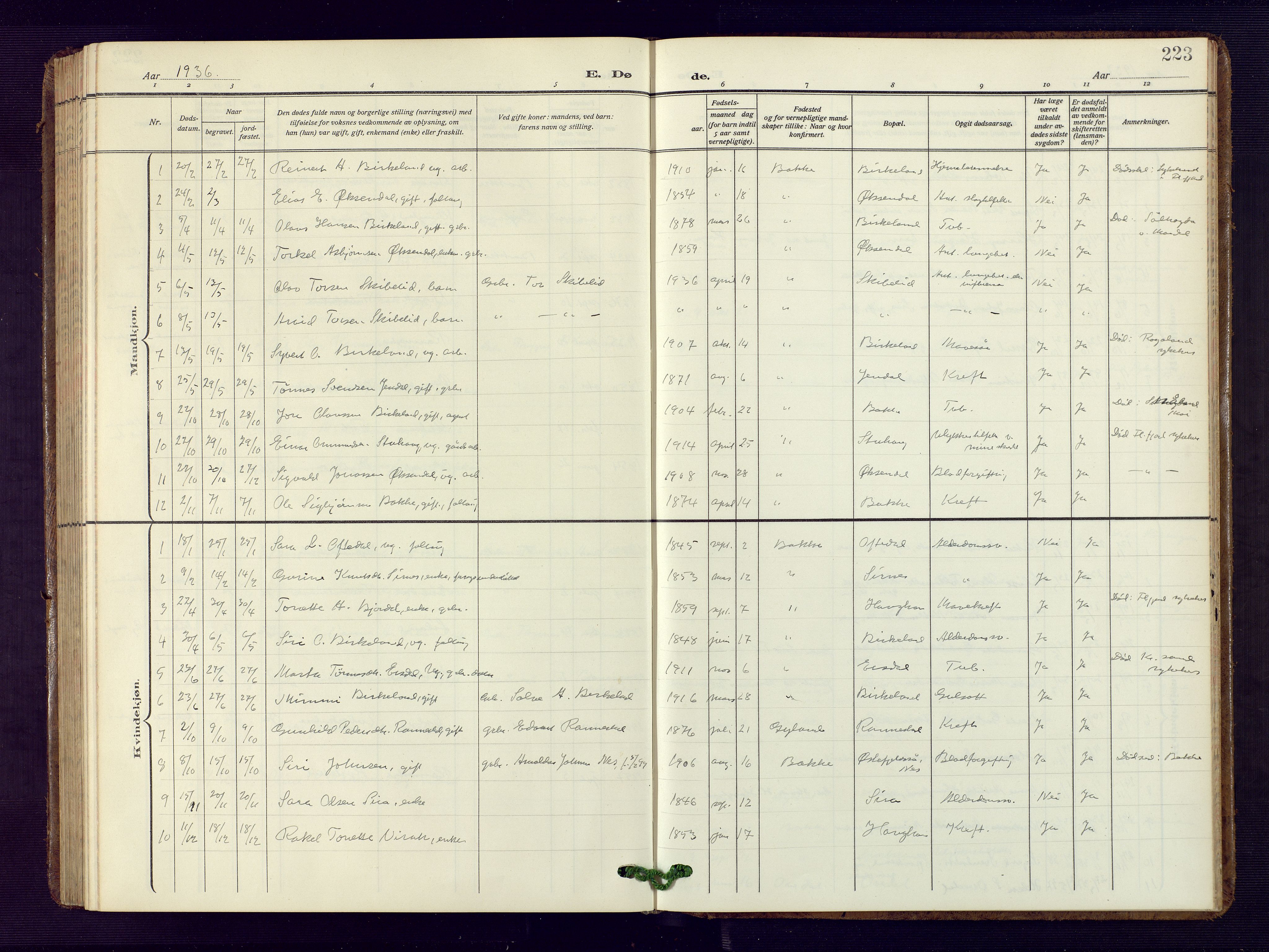 Bakke sokneprestkontor, AV/SAK-1111-0002/F/Fb/Fba/L0004: Parish register (copy) no. B 4, 1911-1946, p. 223