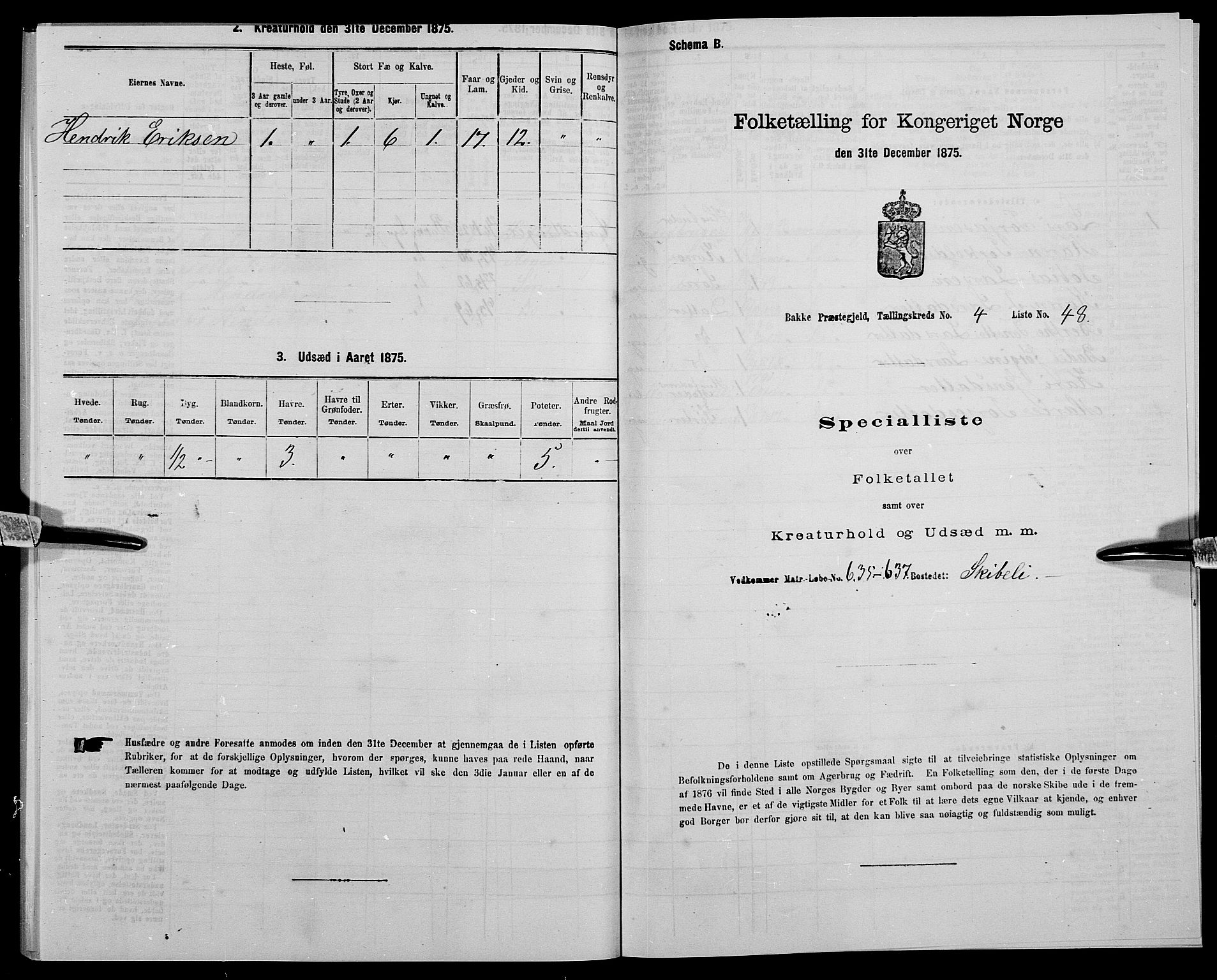 SAK, 1875 census for 1045P Bakke, 1875, p. 478