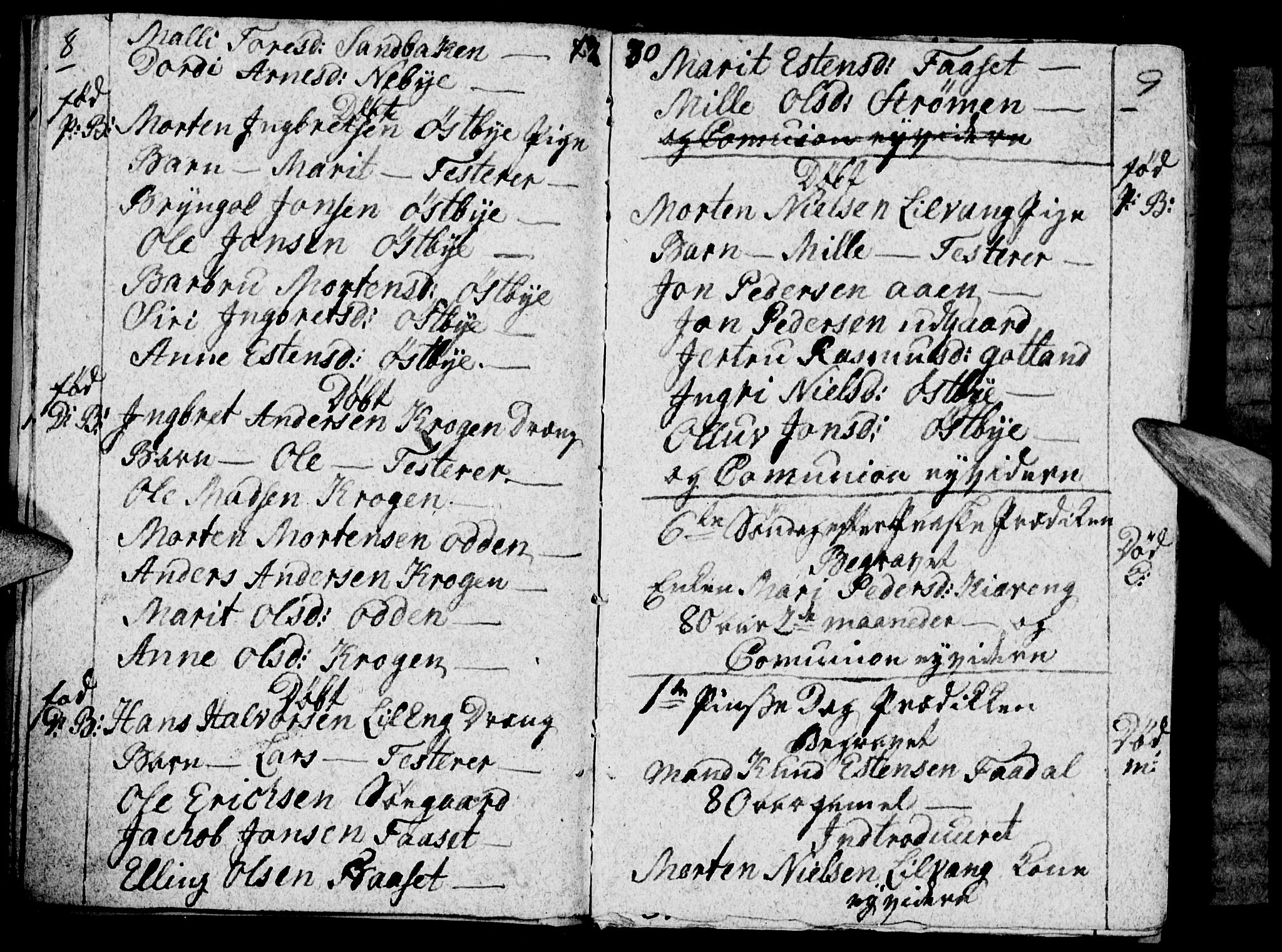 Tynset prestekontor, SAH/PREST-058/H/Ha/Haa/L0012: Parish register (official) no. 12, 1780-1784, p. 8-9