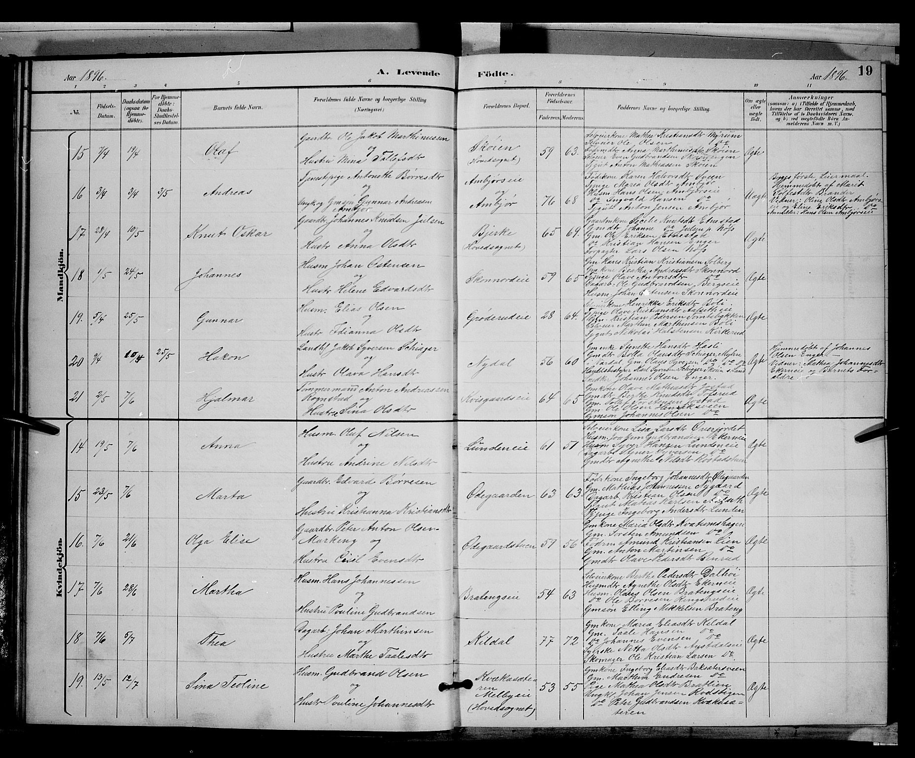 Biri prestekontor, SAH/PREST-096/H/Ha/Hab/L0003: Parish register (copy) no. 3, 1892-1905, p. 19