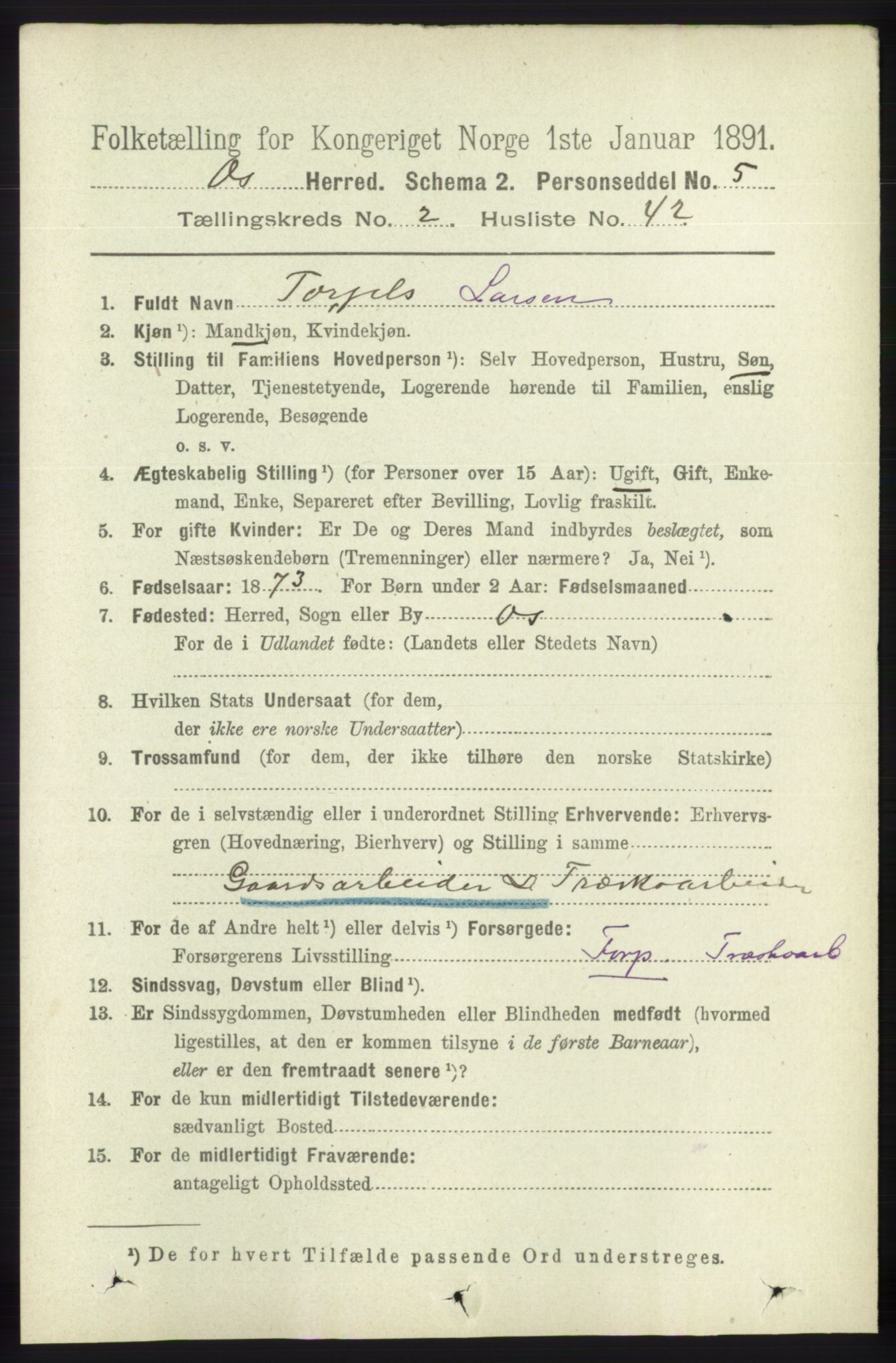 RA, 1891 census for 1243 Os, 1891, p. 674