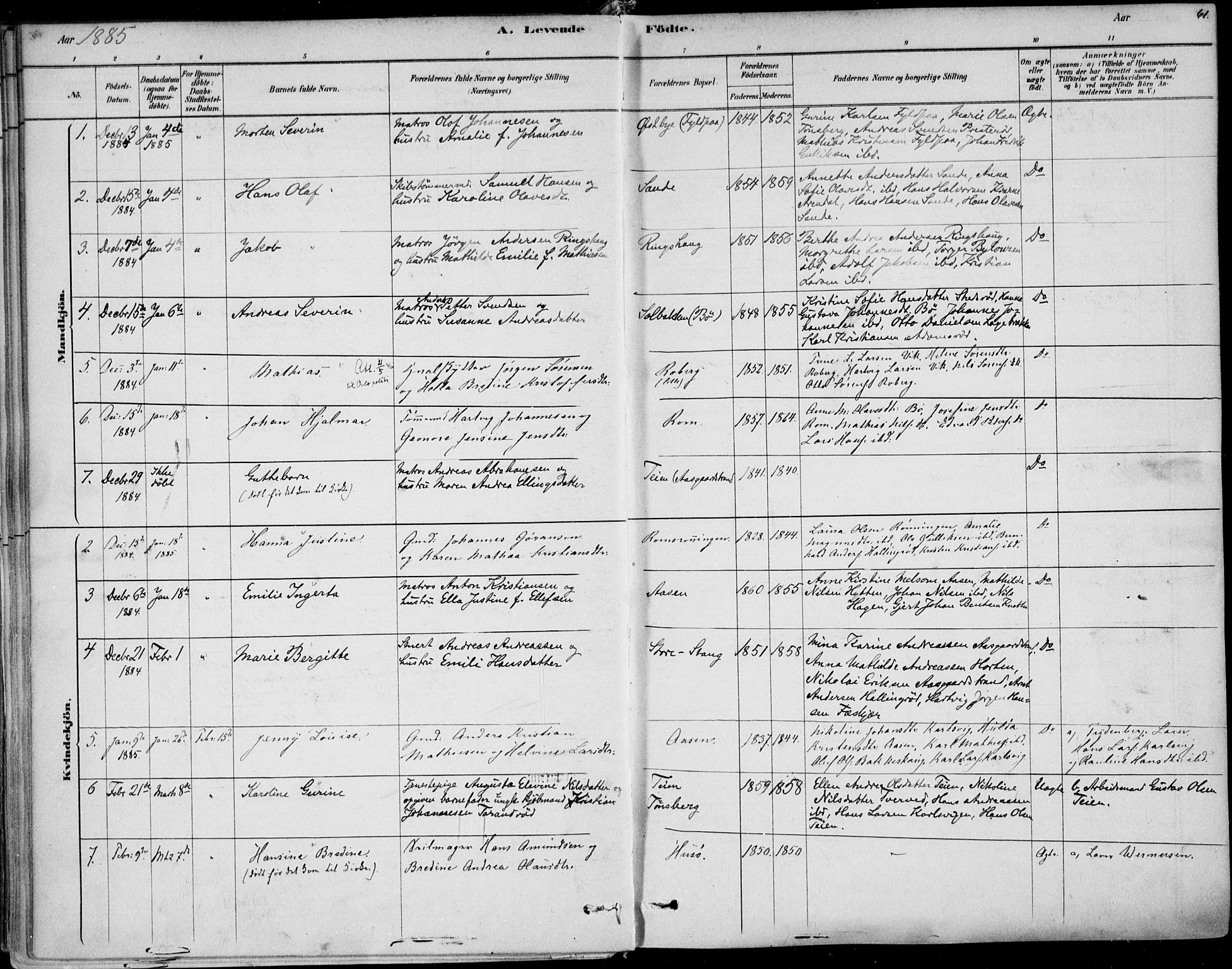 Sem kirkebøker, AV/SAKO-A-5/F/Fb/L0004: Parish register (official) no. II 4, 1878-1891, p. 61