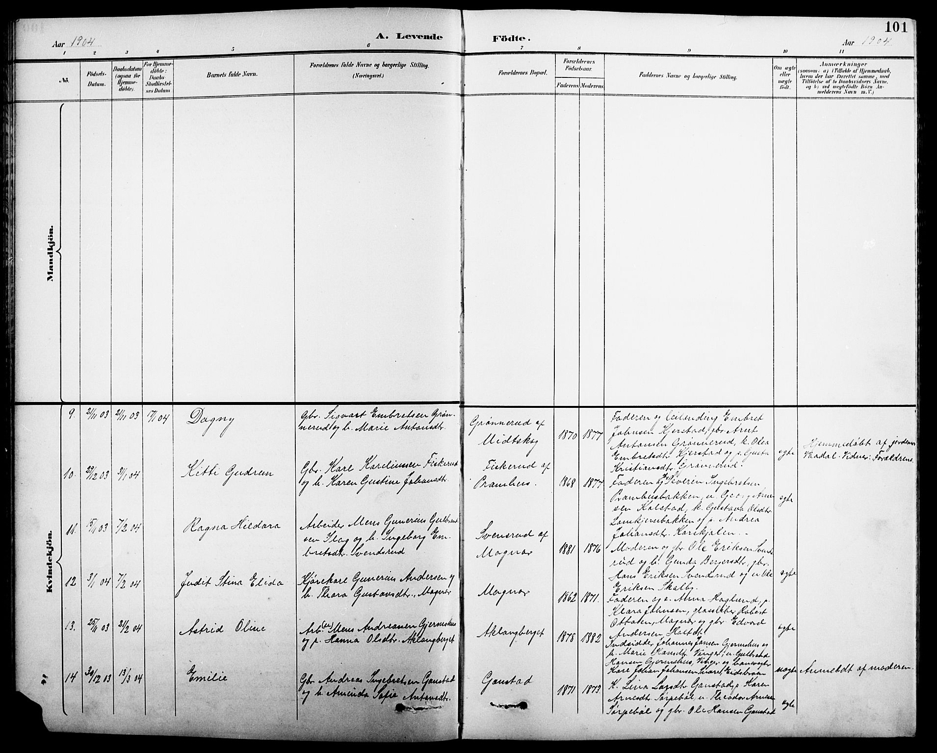 Eidskog prestekontor, SAH/PREST-026/H/Ha/Hab/L0001: Parish register (copy) no. 1, 1895-1917, p. 101