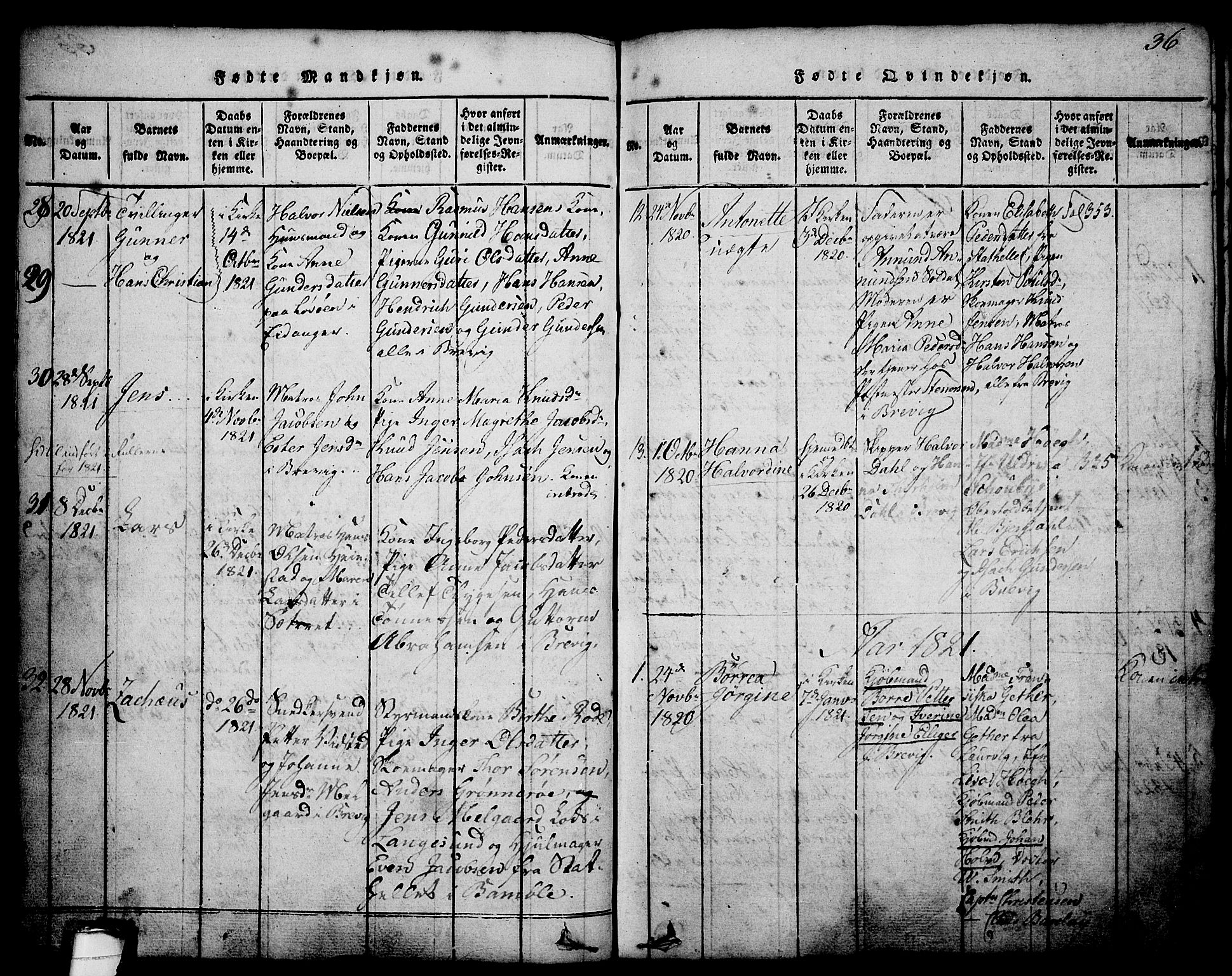 Brevik kirkebøker, AV/SAKO-A-255/G/Ga/L0001: Parish register (copy) no. 1, 1814-1845, p. 36