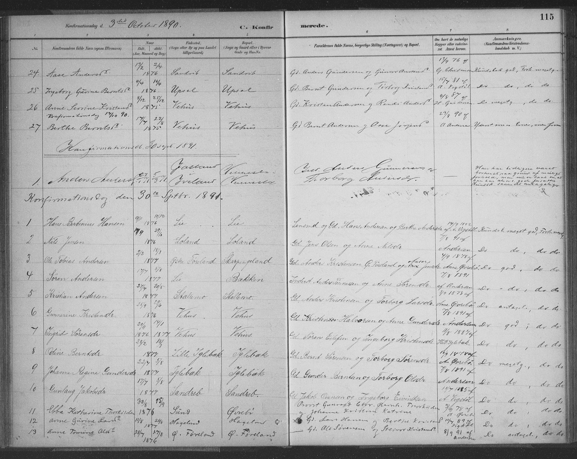 Vennesla sokneprestkontor, SAK/1111-0045/Fa/Fac/L0009: Parish register (official) no. A 9, 1884-1901, p. 115