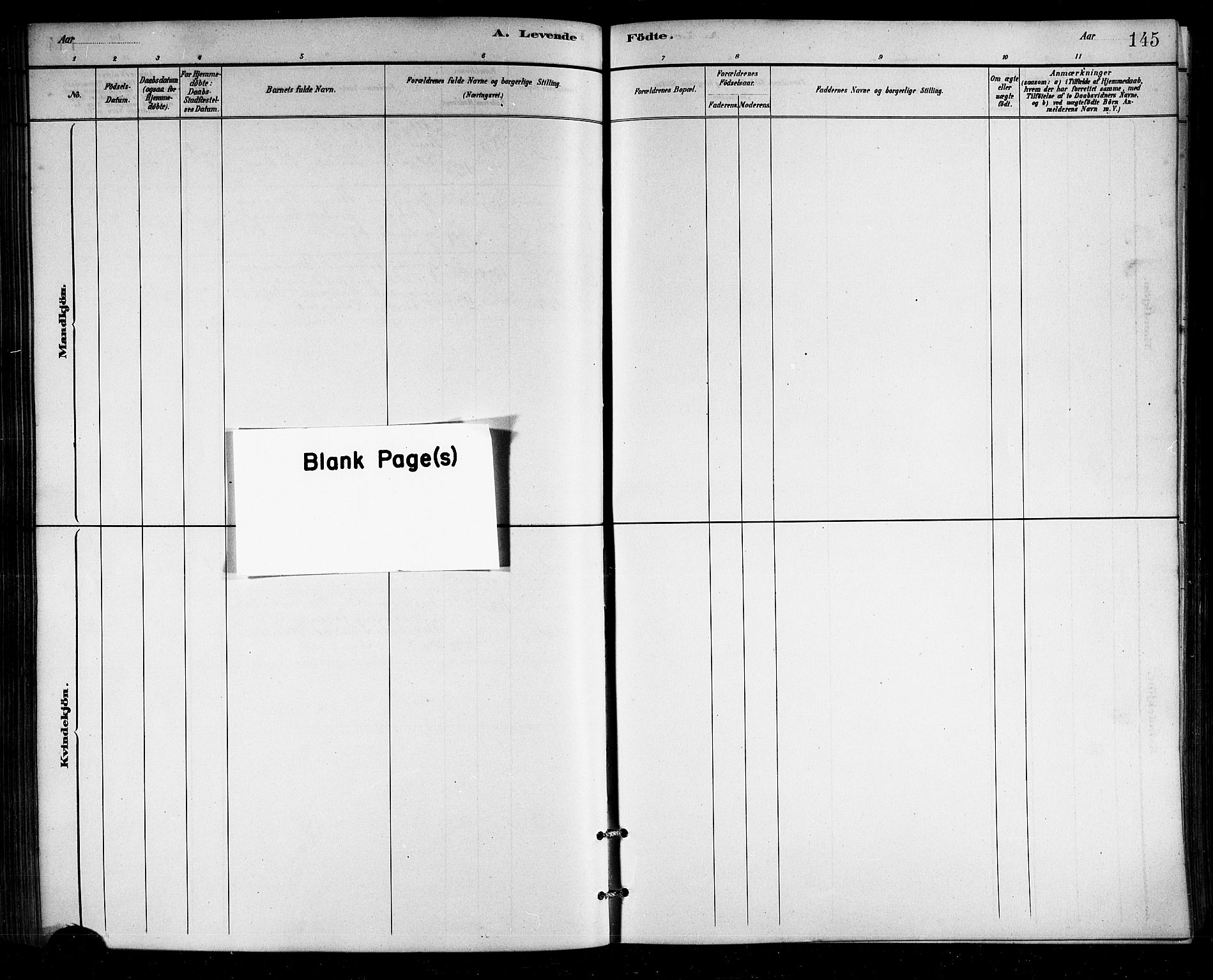 Ministerialprotokoller, klokkerbøker og fødselsregistre - Nordland, SAT/A-1459/812/L0188: Parish register (copy) no. 812C06, 1884-1912, p. 145